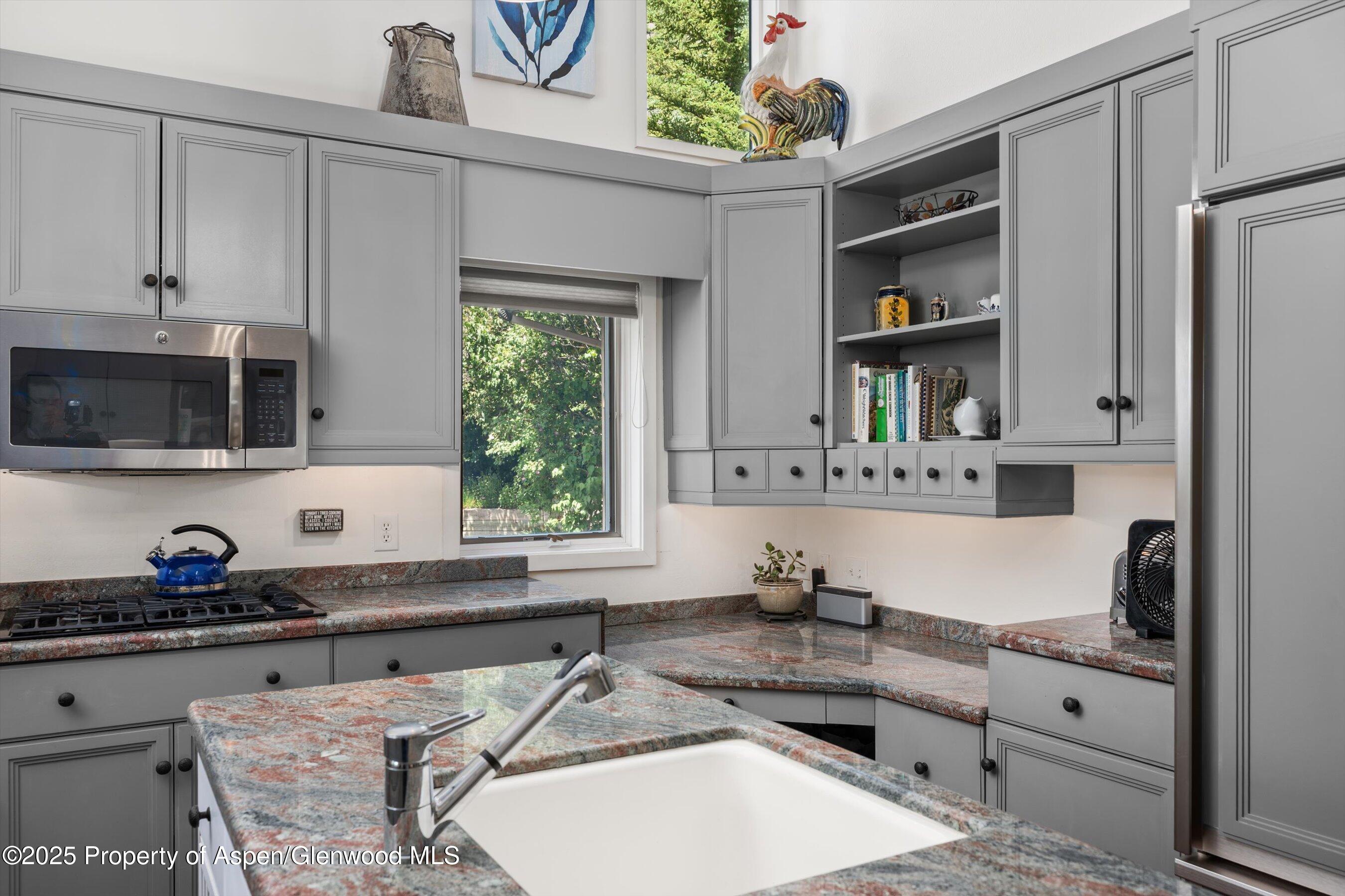 100 Terrace Lane Snowmass Village CO 81615