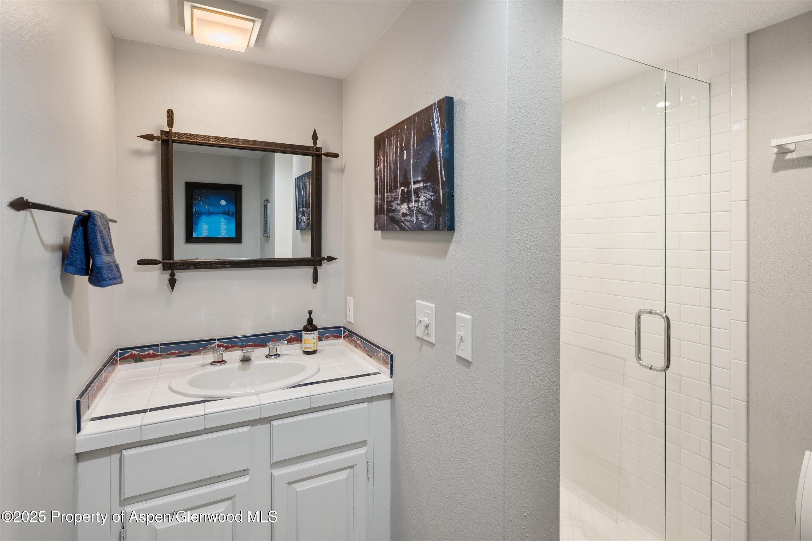 100 Terrace Lane Snowmass Village CO 81615