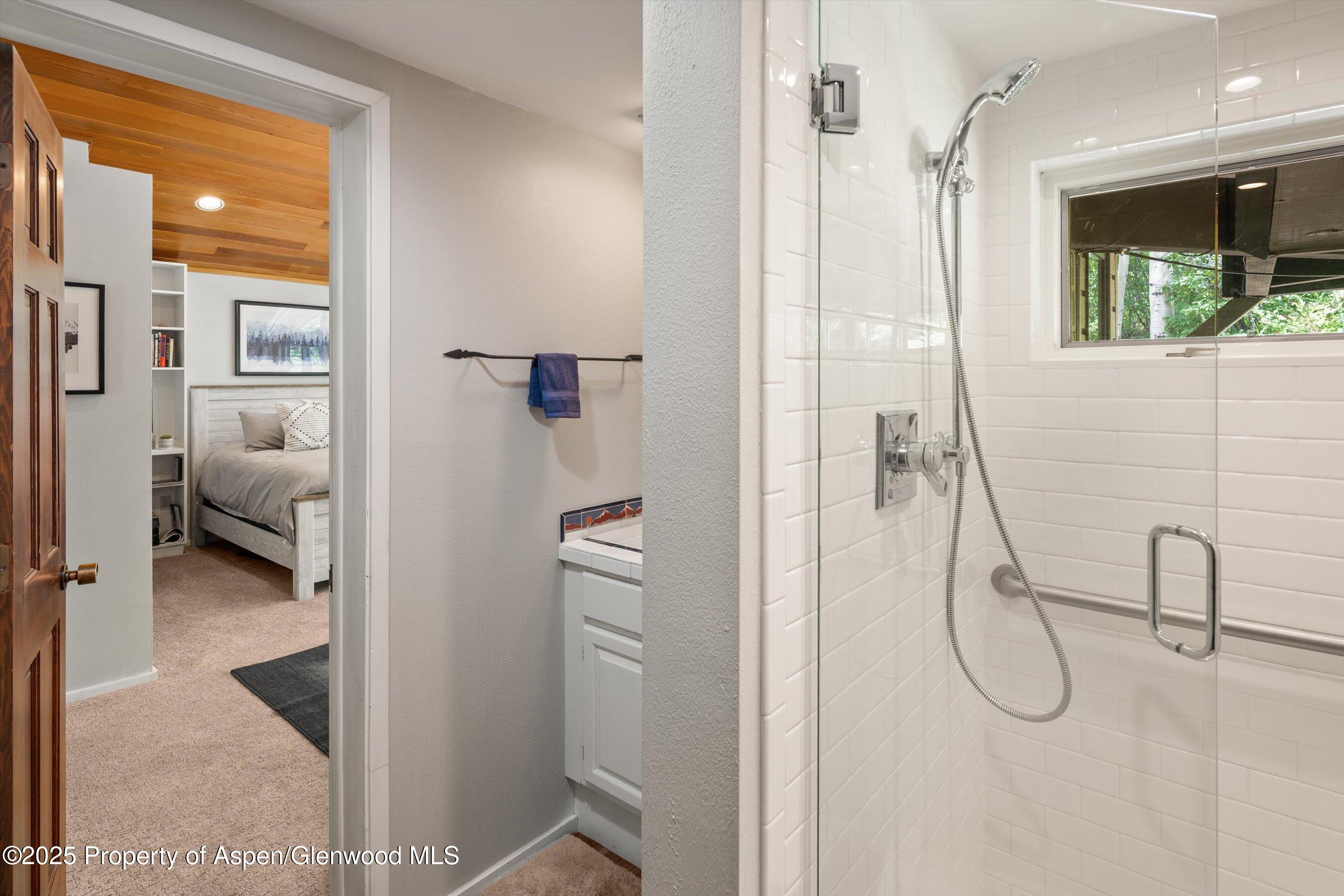 100 Terrace Lane Snowmass Village CO 81615