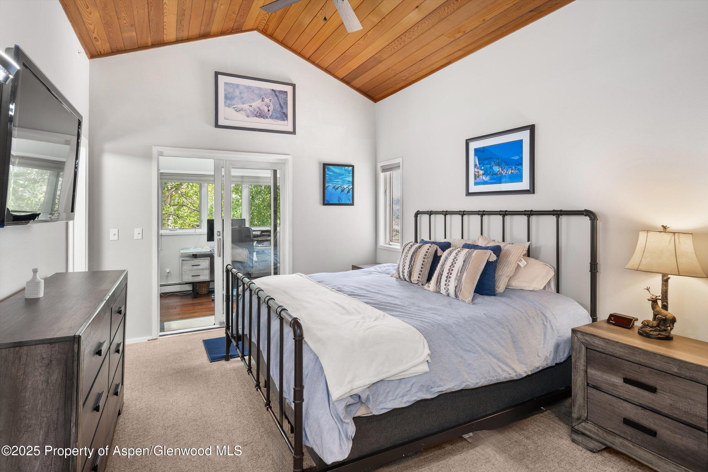 100 Terrace Lane Snowmass Village CO 81615