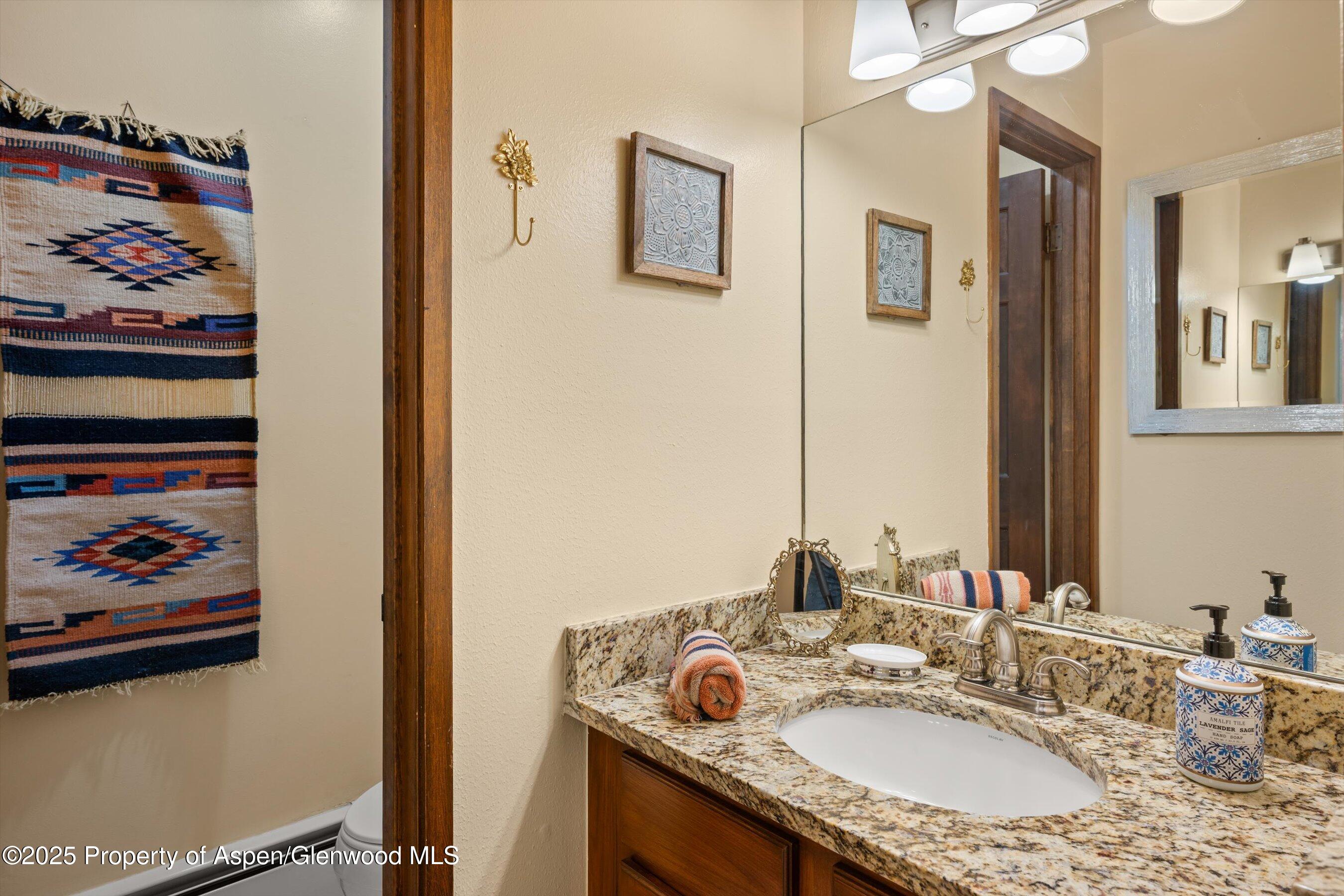 100 Terrace Lane Snowmass Village CO 81615