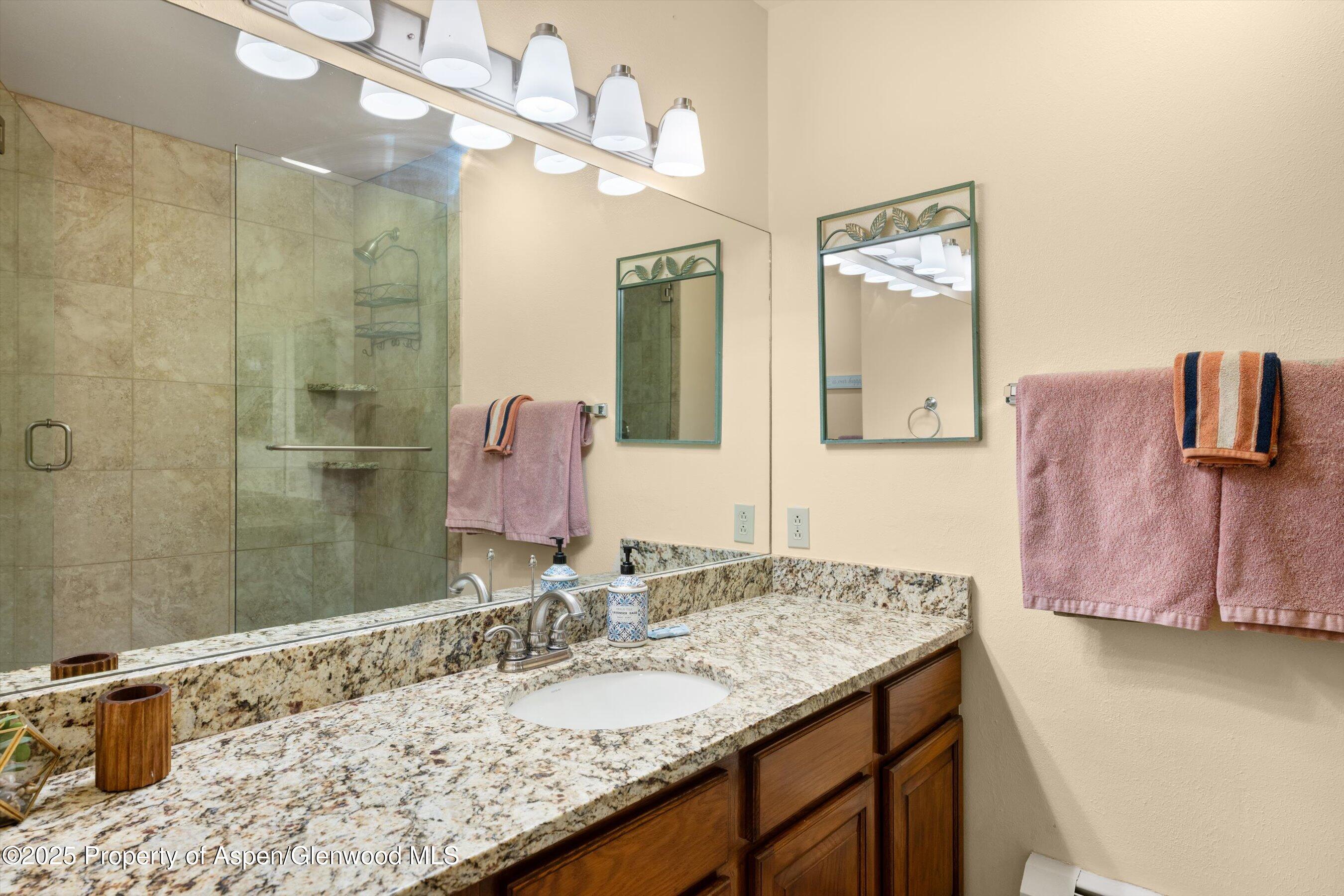 100 Terrace Lane Snowmass Village CO 81615