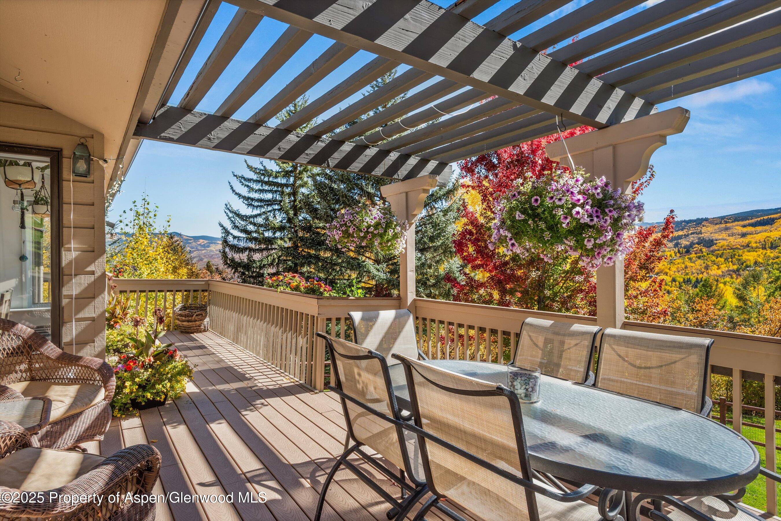 100 Terrace Lane Snowmass Village CO 81615