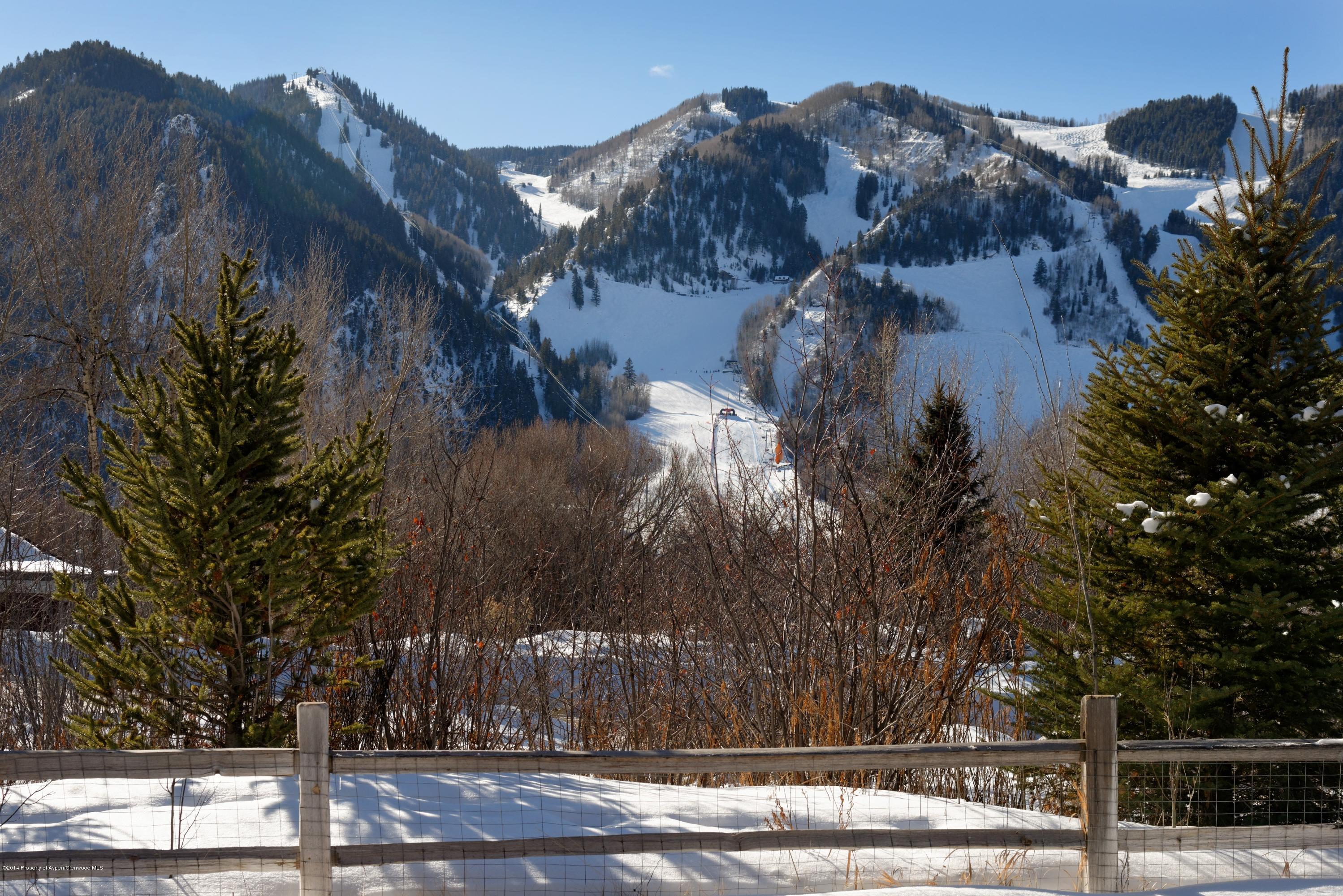 125 Miners Trail Aspen CO 81611