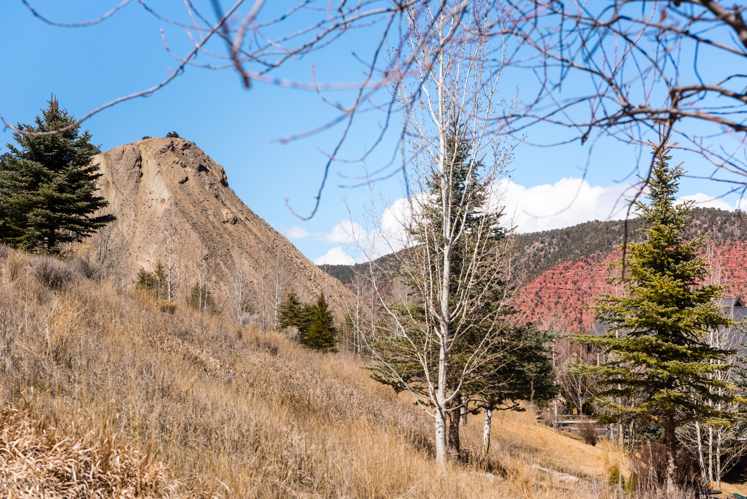 436 Red Bluff Vista Glenwood Springs CO 81601