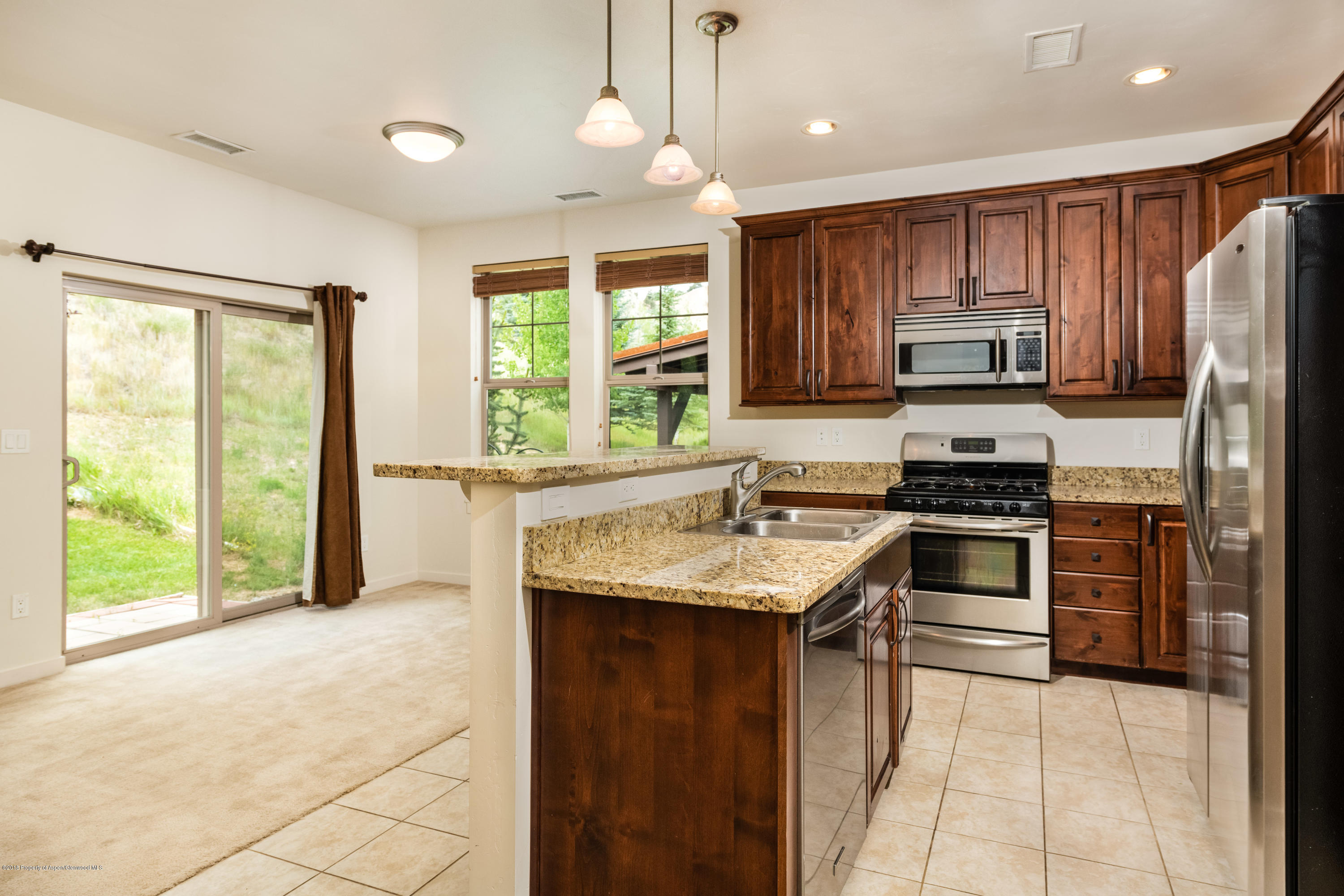 436 Red Bluff Vista Glenwood Springs CO 81601