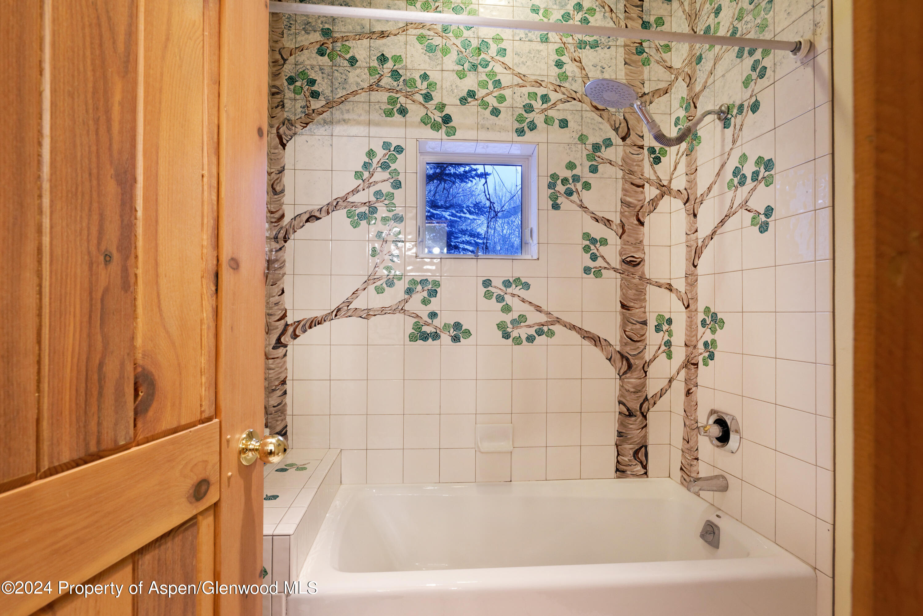 75 & 85 Glen Garry Drive Aspen CO 81611