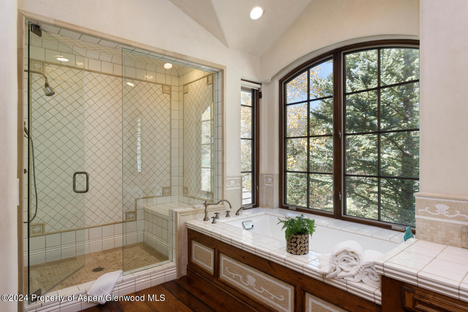 120 Running Mare Road Woody Creek CO 81656