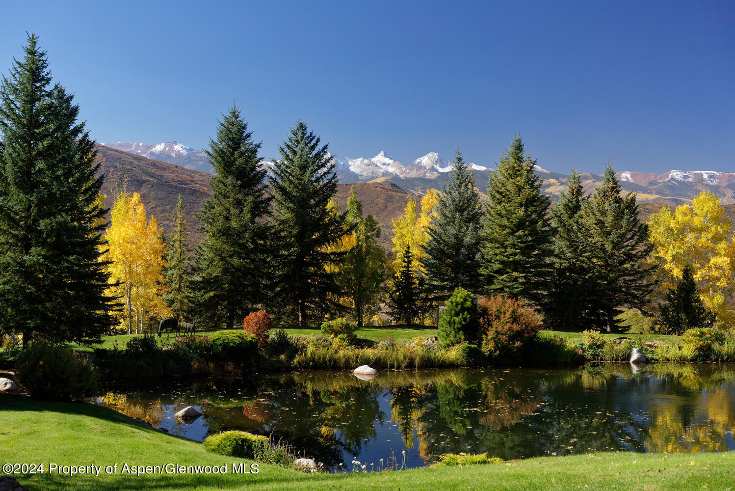 120 Running Mare Road Woody Creek CO 81656