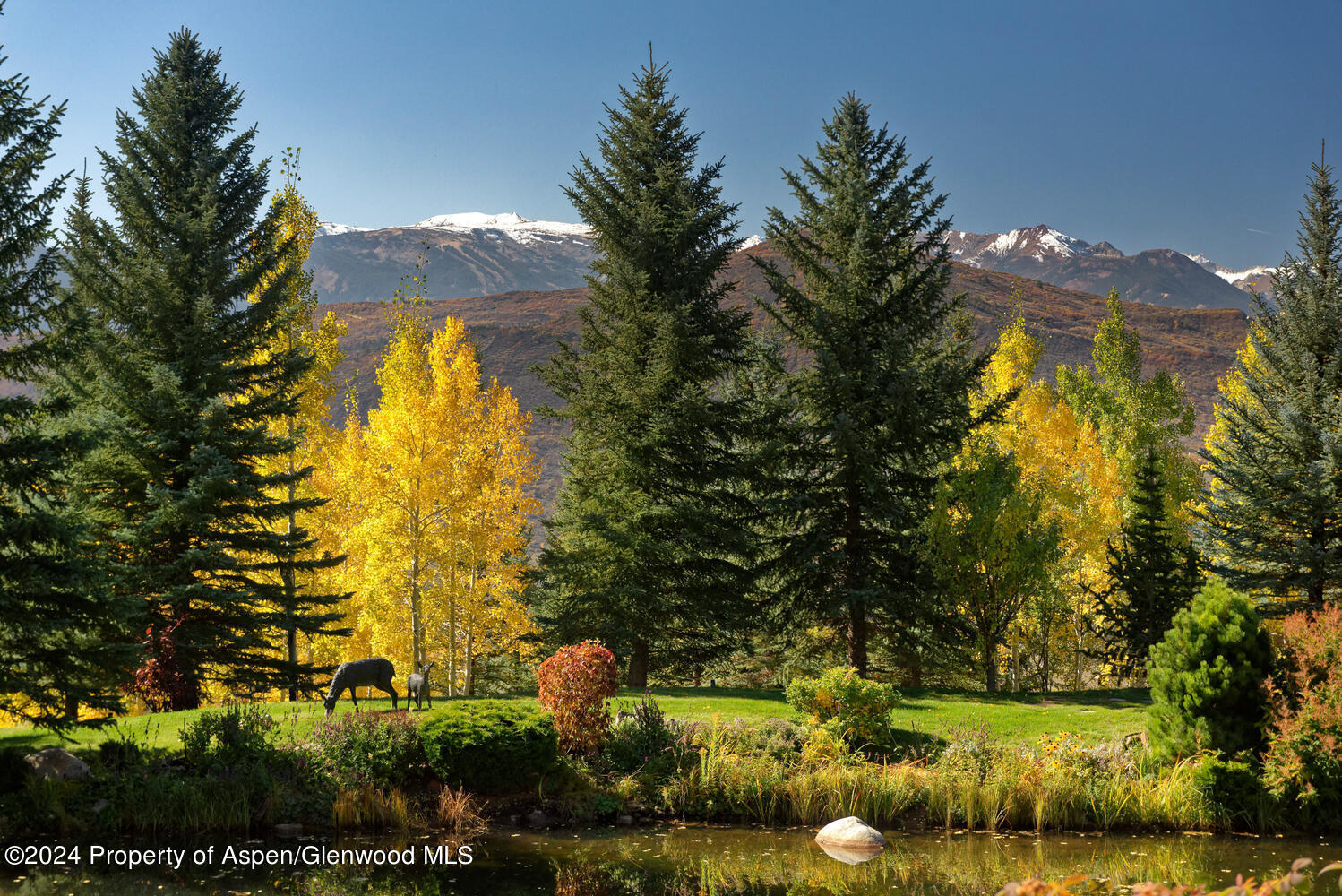 120 Running Mare Road Woody Creek CO 81656