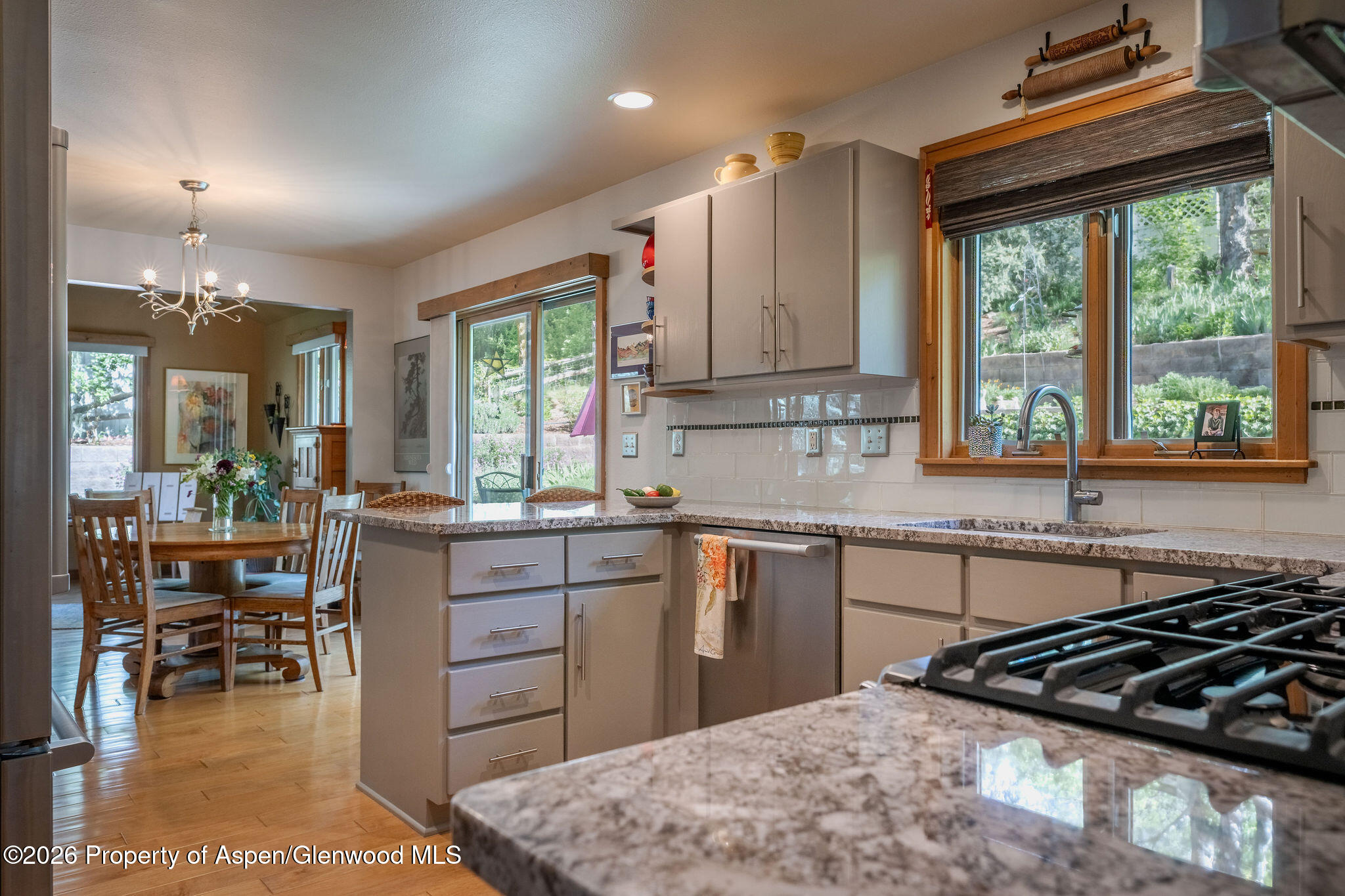 119 Ptarmigan Lane Glenwood Springs CO 81601