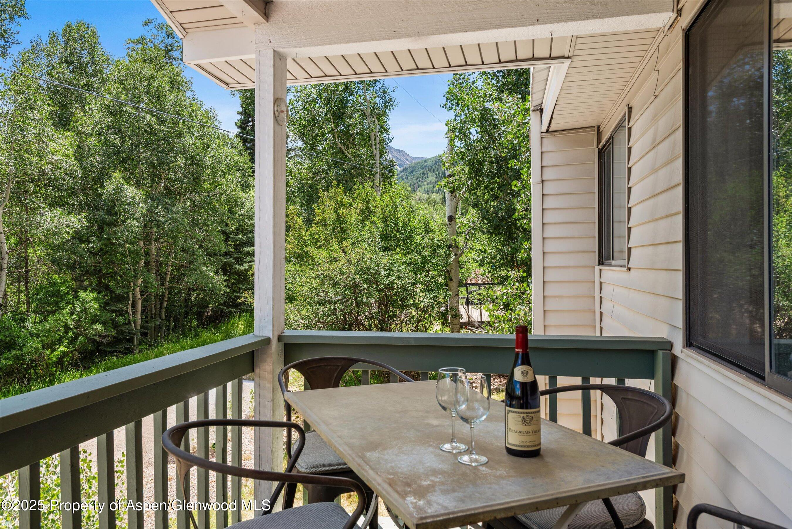 131 Aspen Street Redstone CO 81623