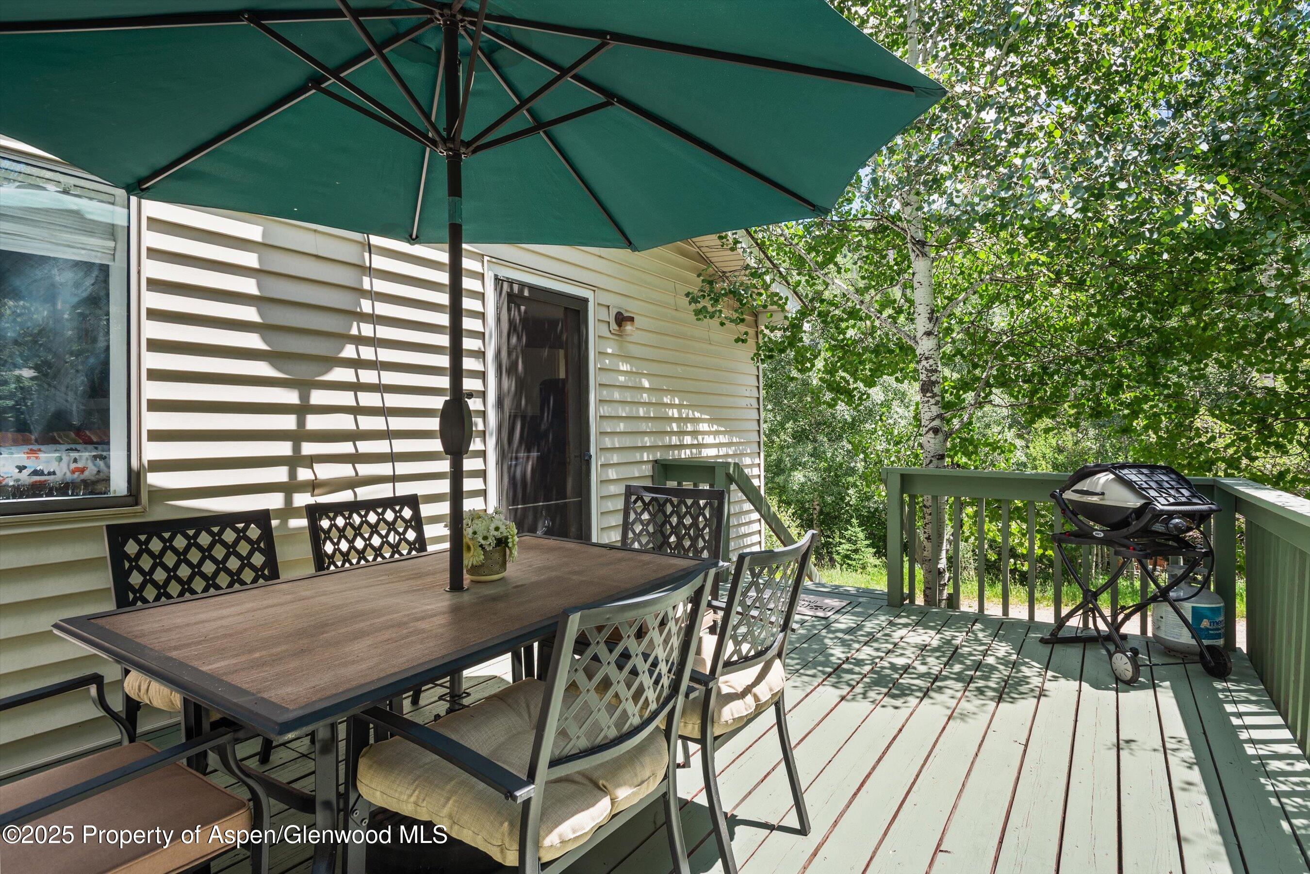 131 Aspen Street Redstone CO 81623