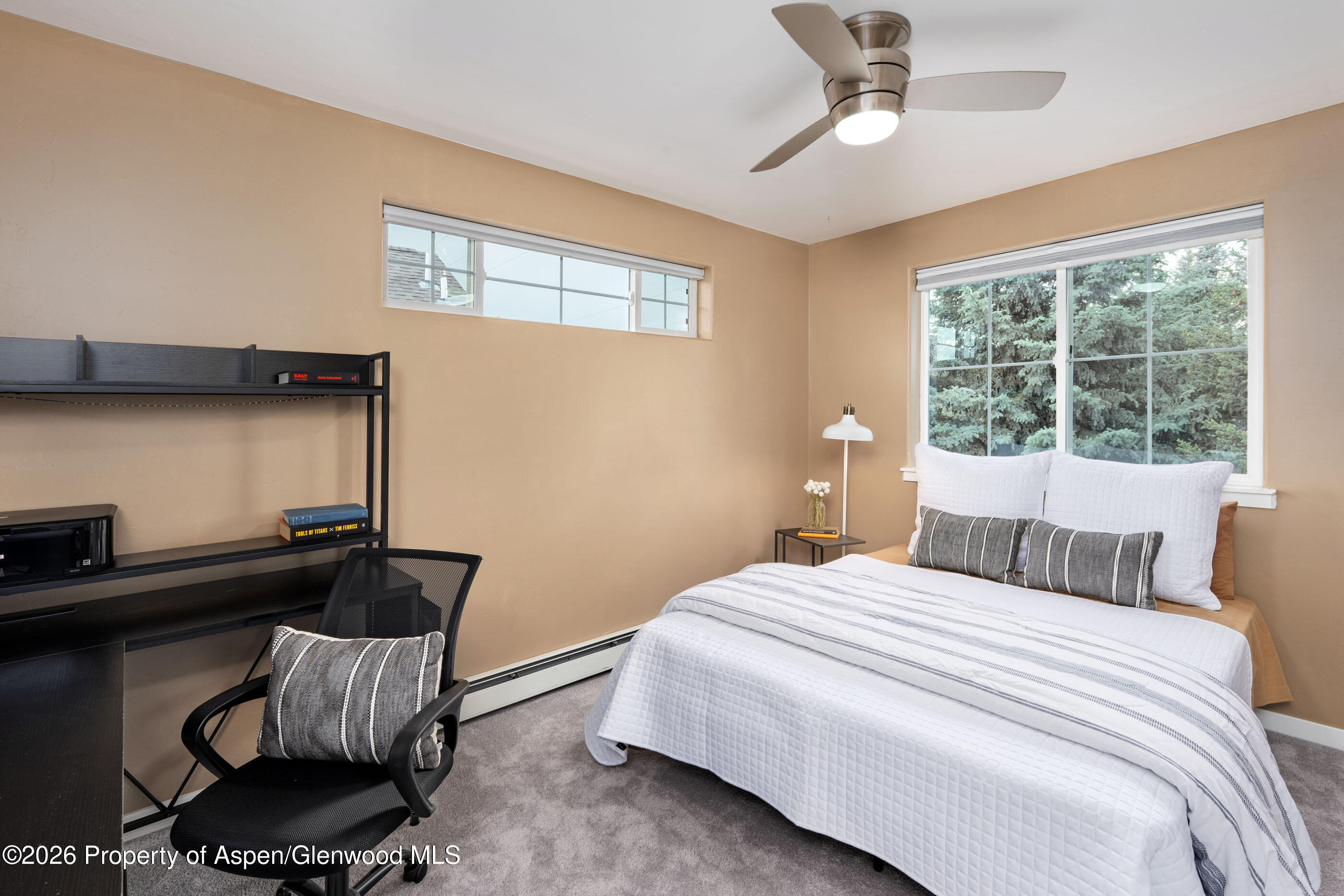 321 W 8th Court Carbondale CO 81623