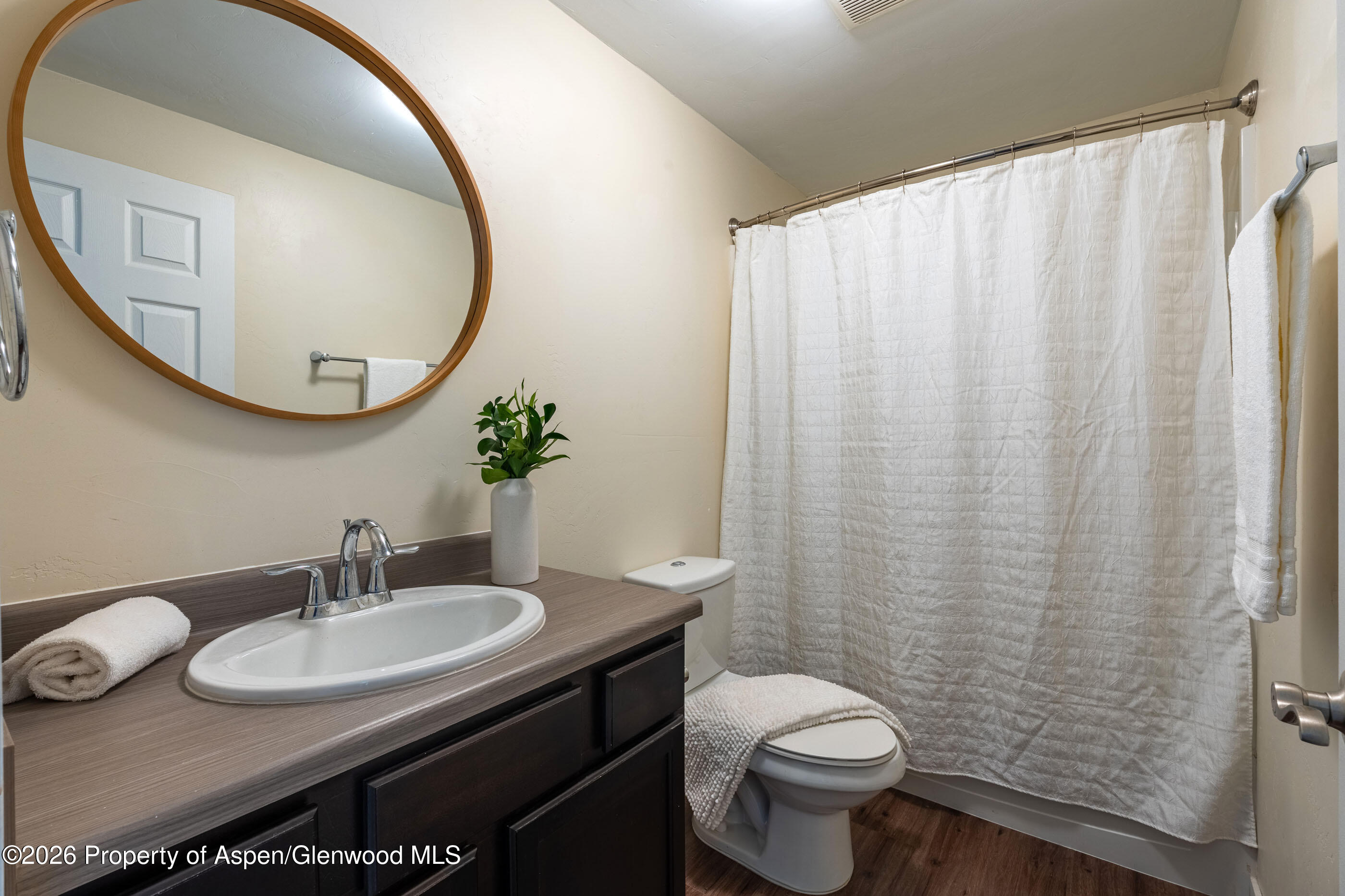 321 W 8th Court Carbondale CO 81623