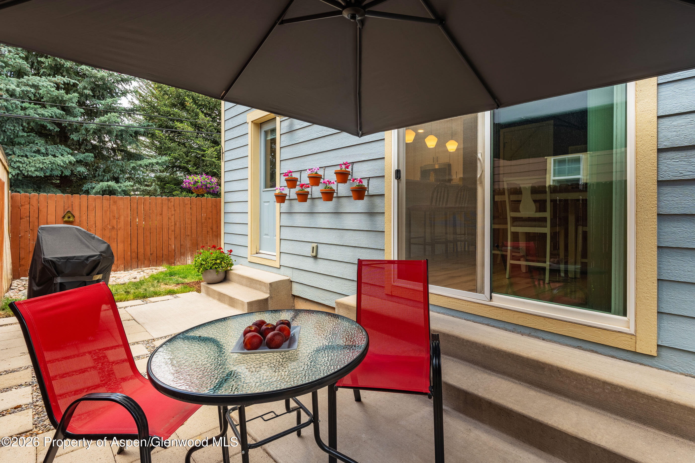 321 W 8th Court Carbondale CO 81623
