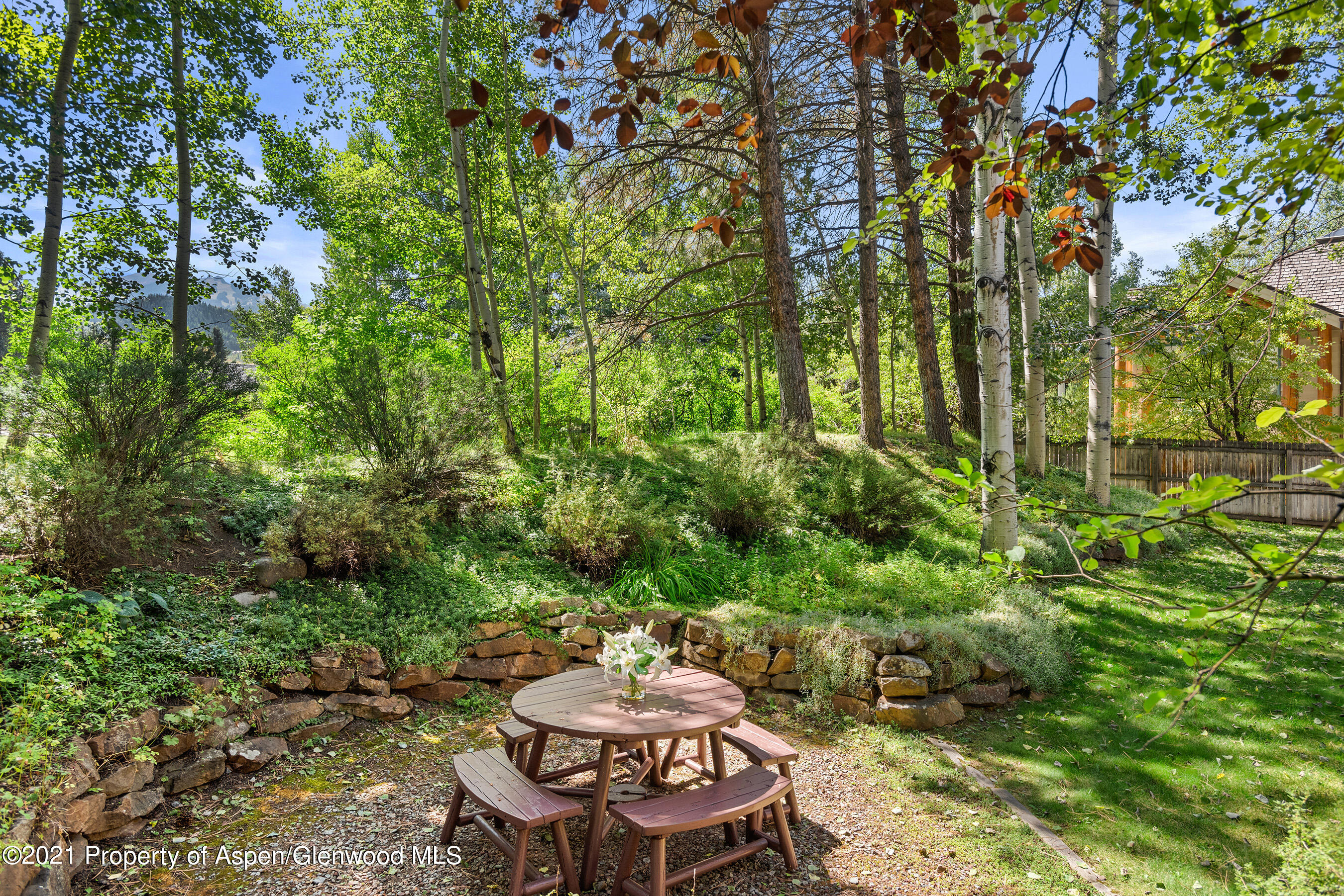925 North Street Aspen CO 81611