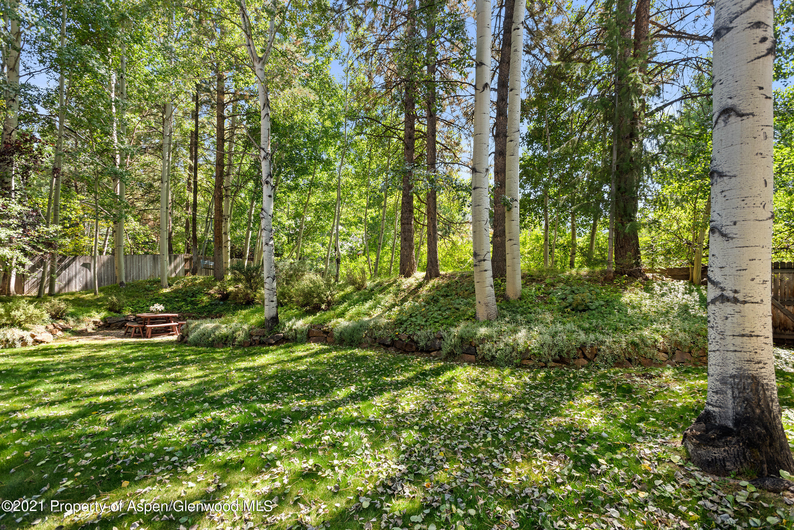 925 North Street Aspen CO 81611