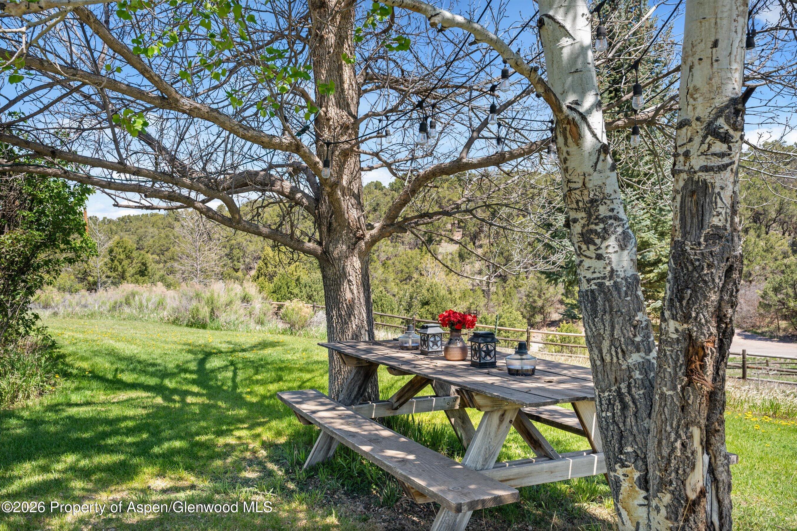 2085 County Road 112 Carbondale CO 81623