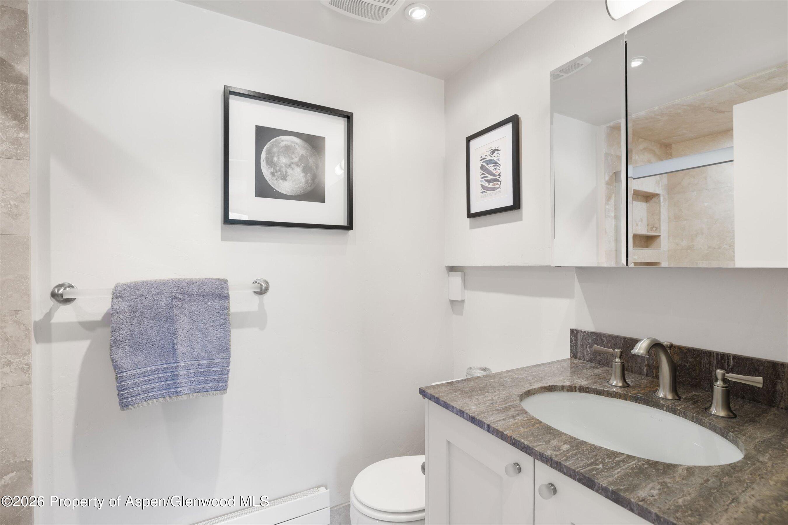 1301 Mclaughlin Lane Basalt CO 81621