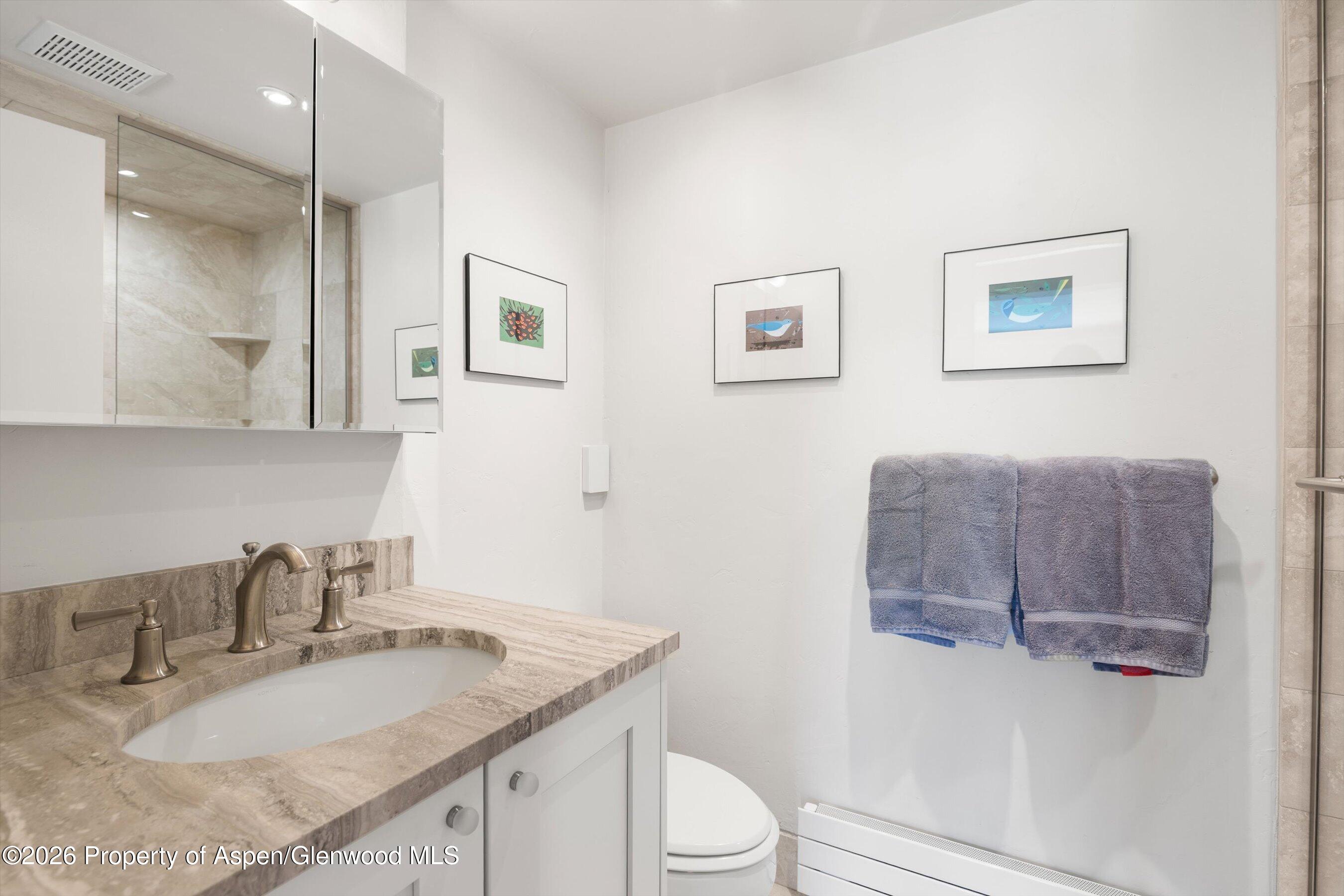 1301 Mclaughlin Lane Basalt CO 81621