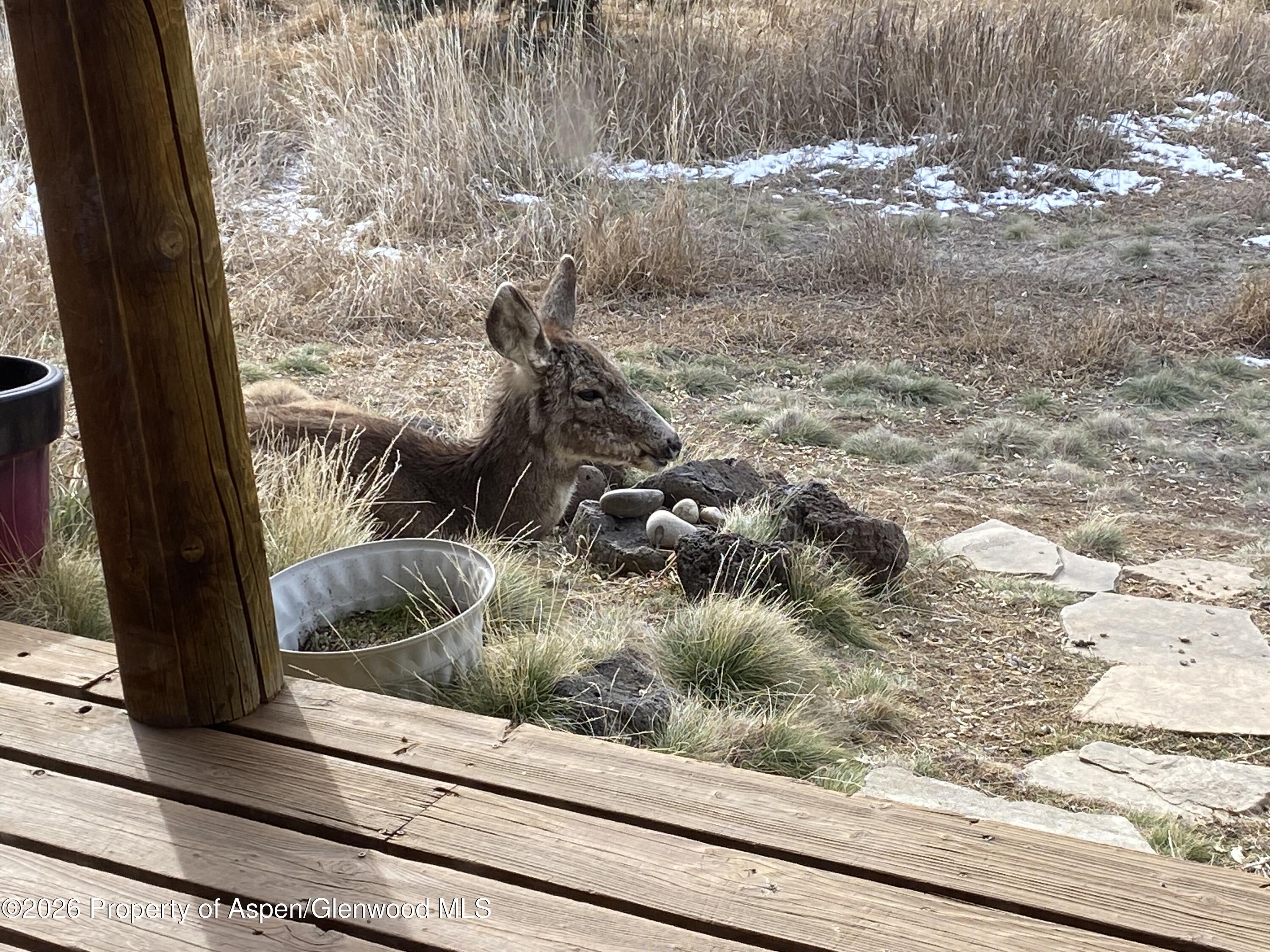 5792 County Road 309 Parachute CO 81635