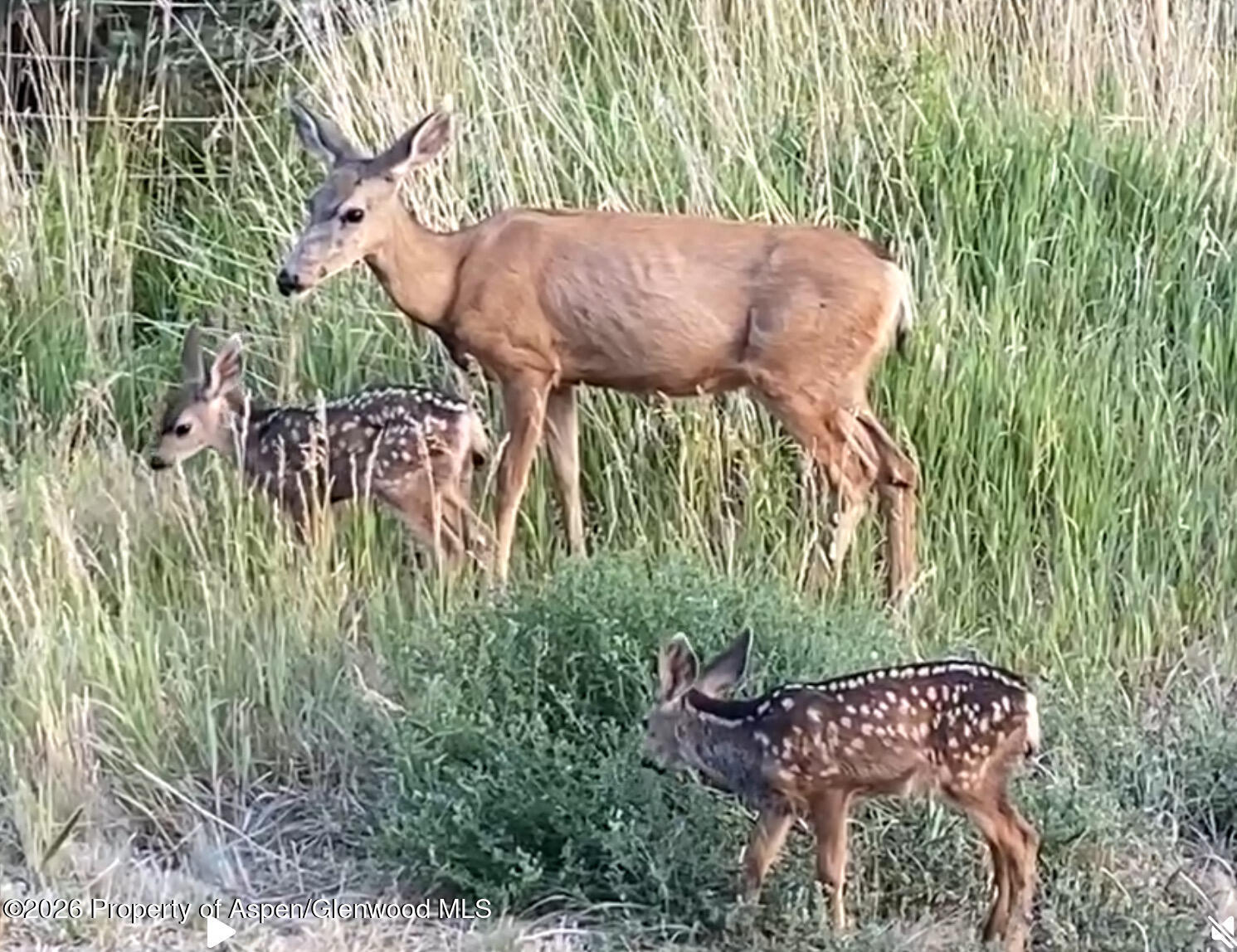 5792 County Road 309 Parachute CO 81635