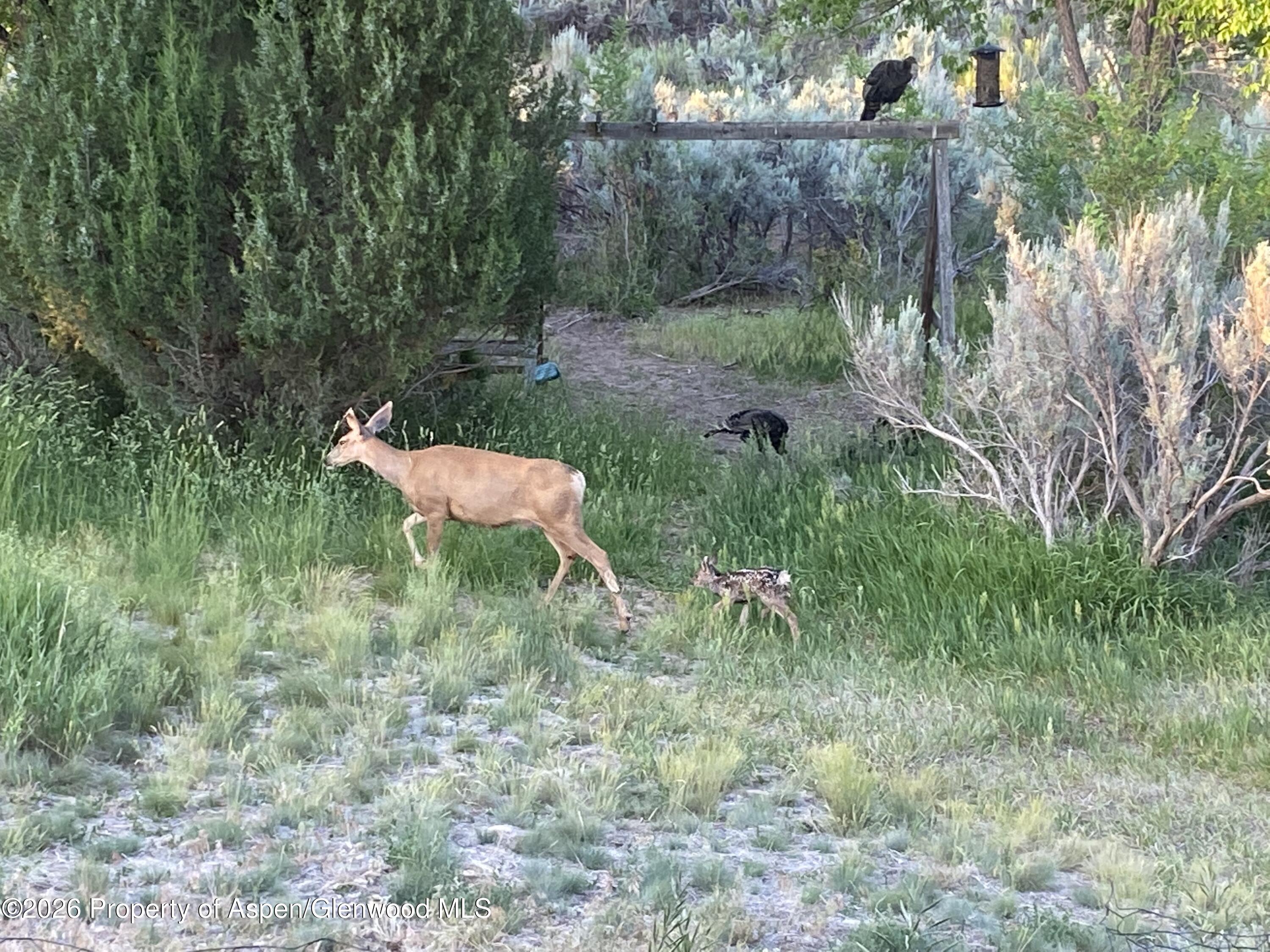 5792 County Road 309 Parachute CO 81635