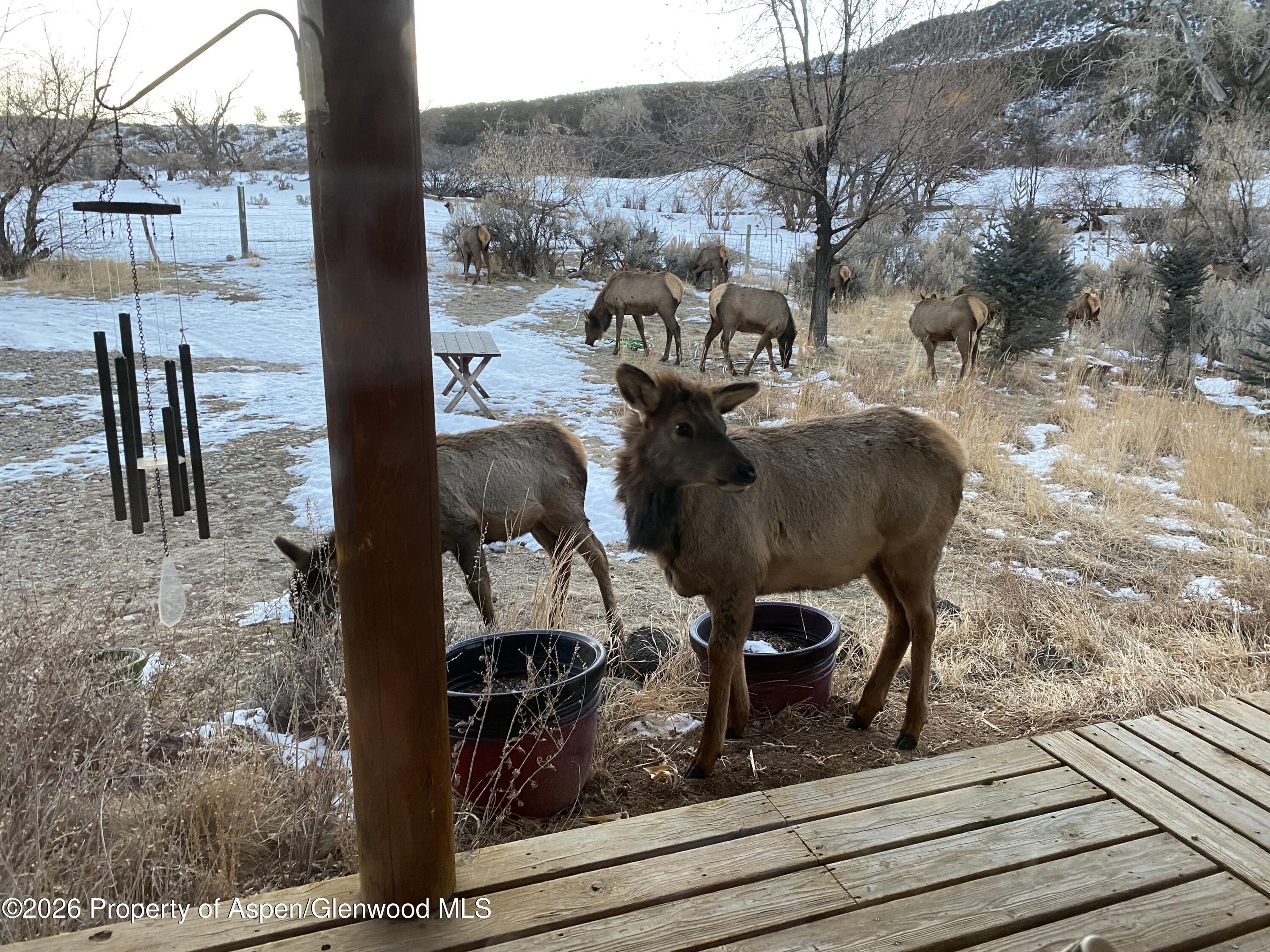 5792 County Road 309 Parachute CO 81635