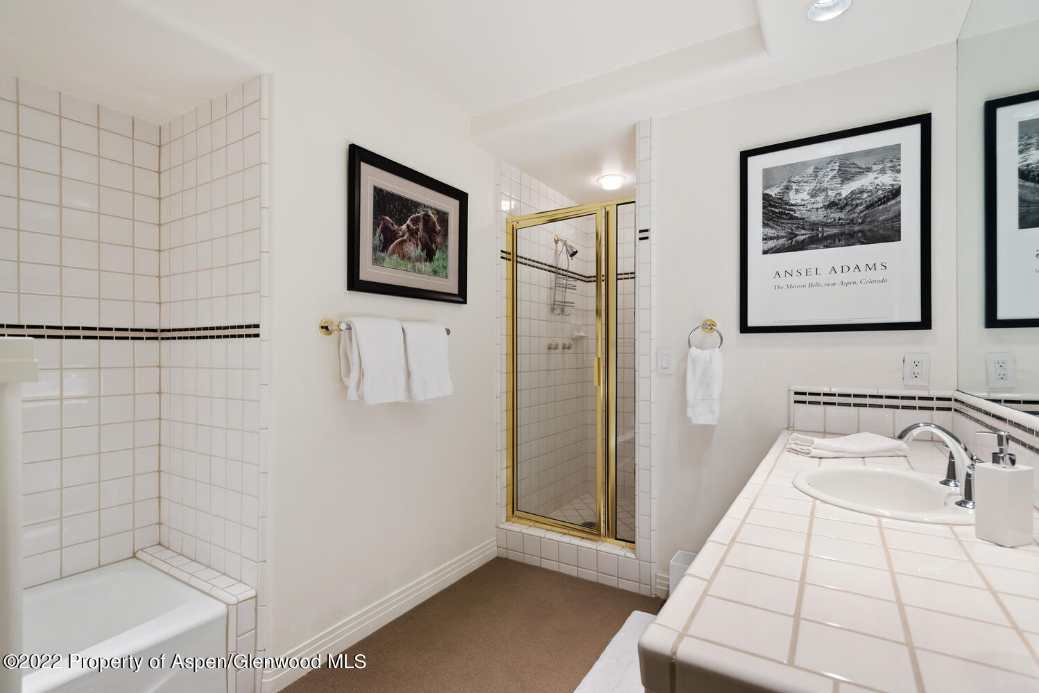 504 N 8th Street Aspen CO 81611