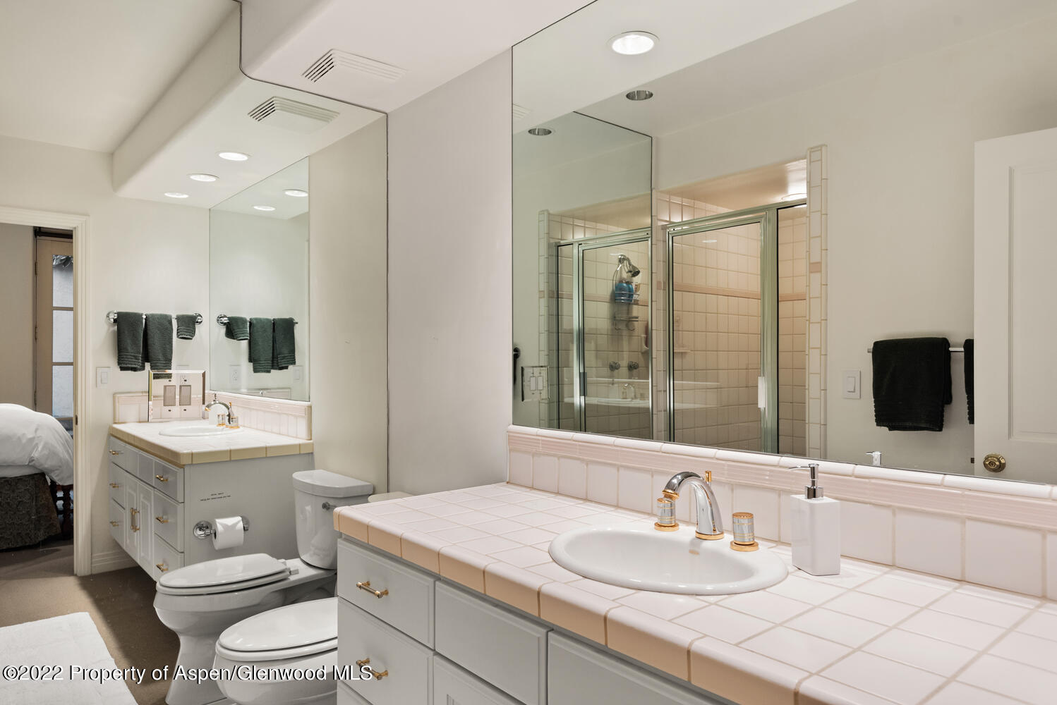 504 N 8th Street Aspen CO 81611