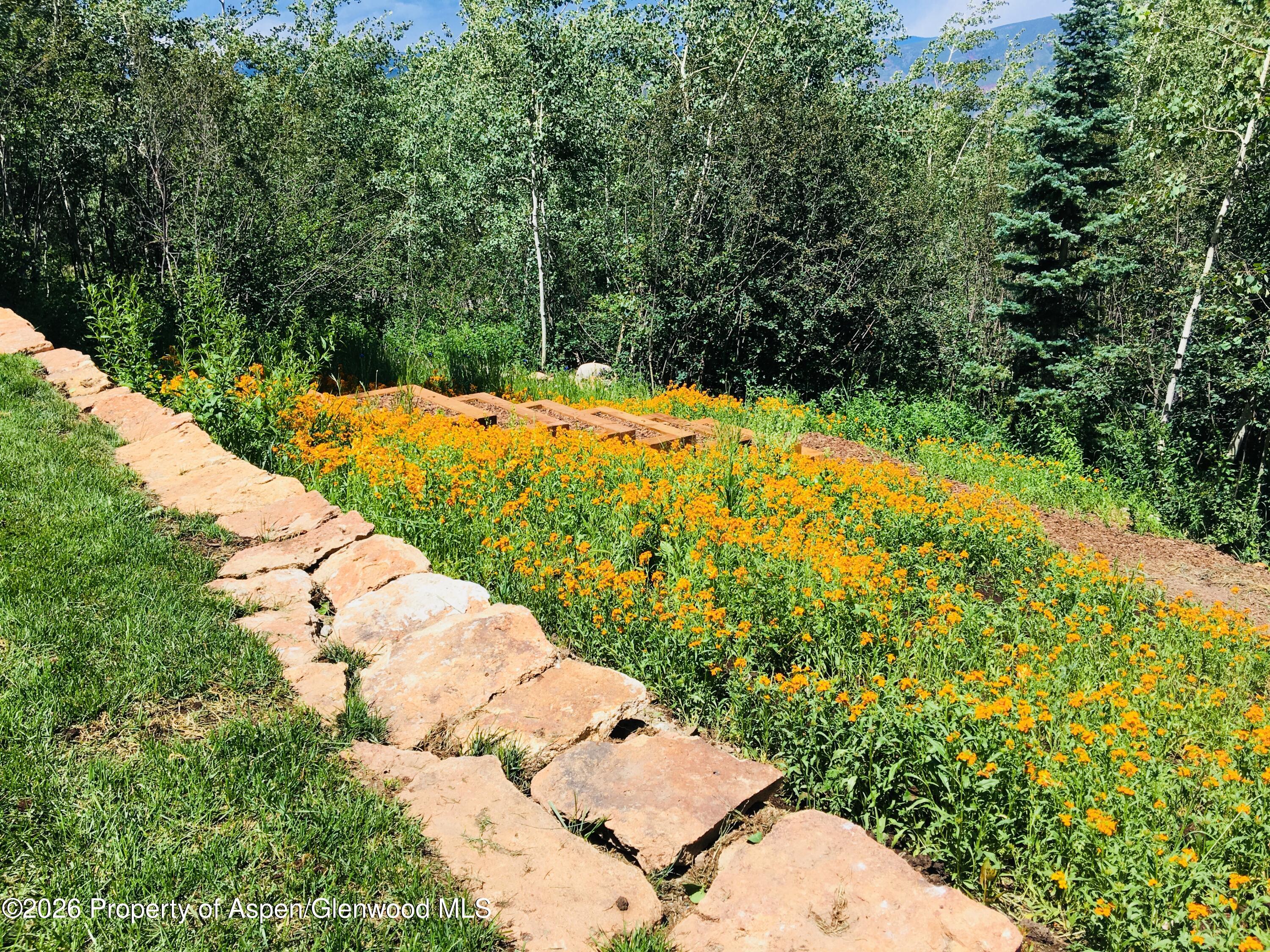 1592 Faraway Road Snowmass Village CO 81615