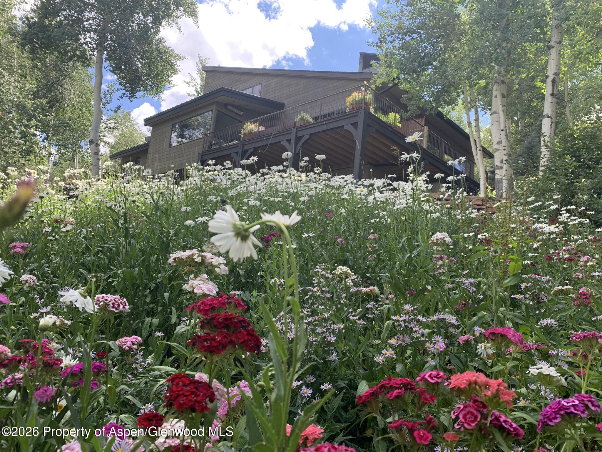 1592 Faraway Road Snowmass Village CO 81615