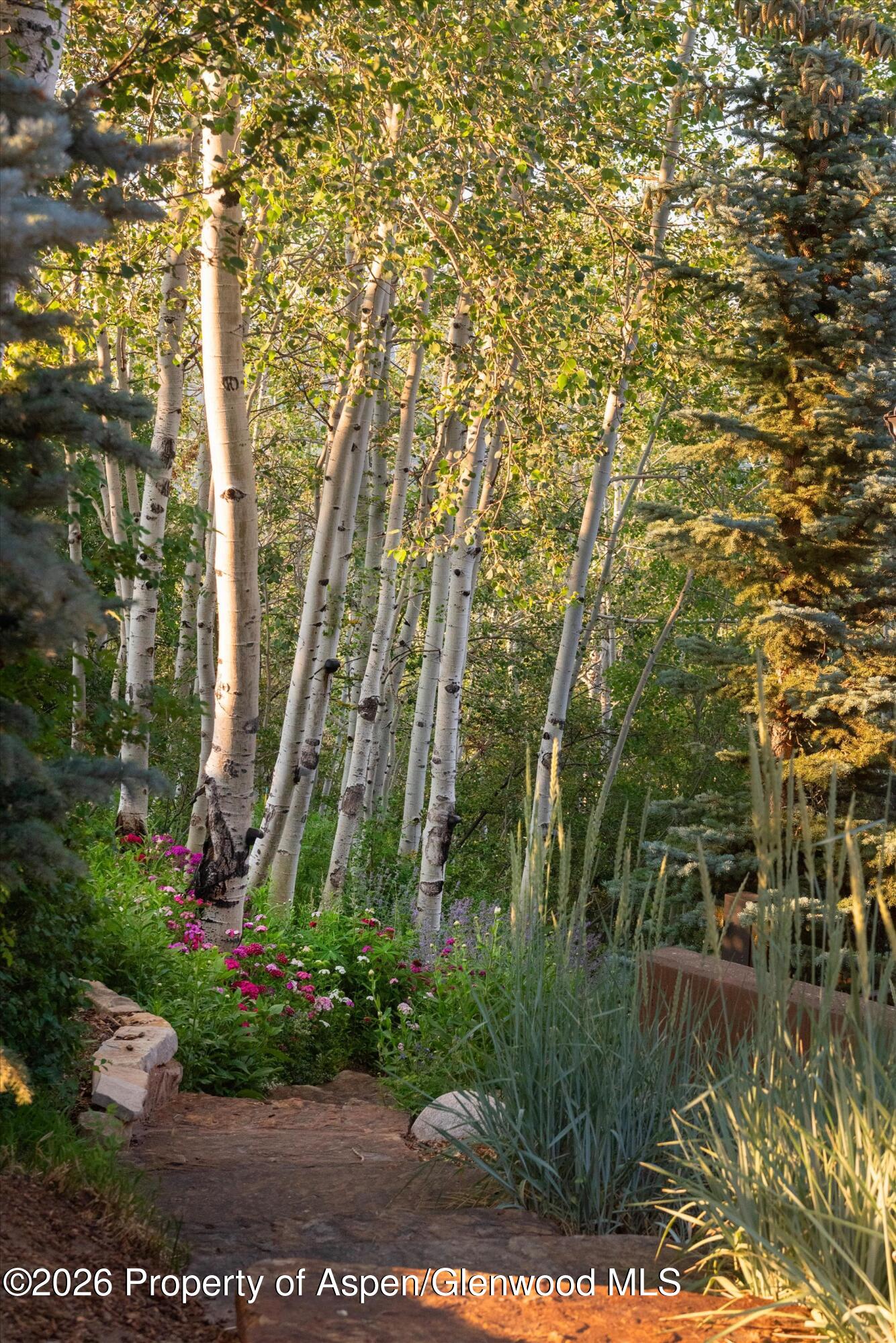 1592 Faraway Road Snowmass Village CO 81615