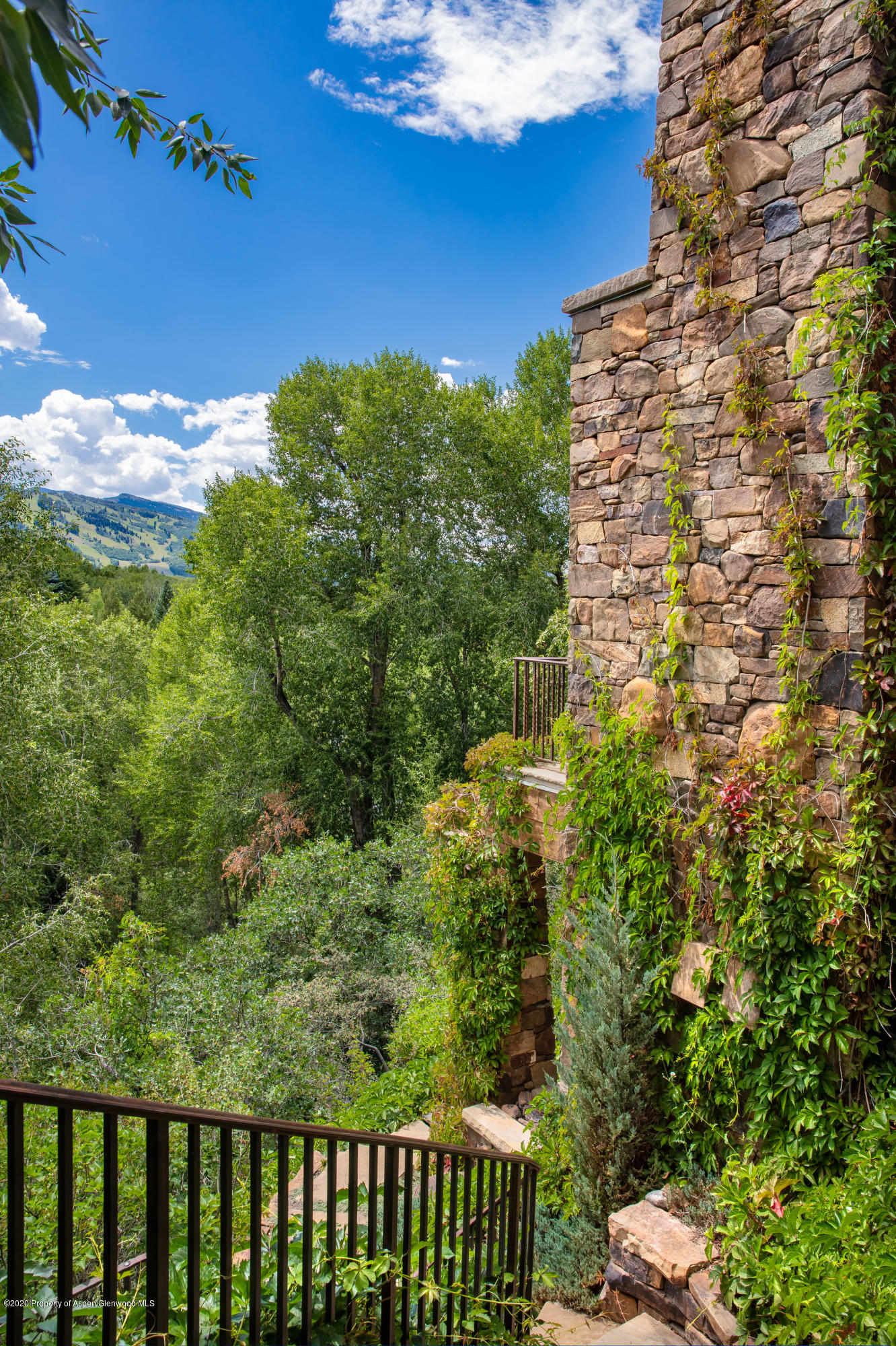 288 Willoughby Way Aspen CO 81611