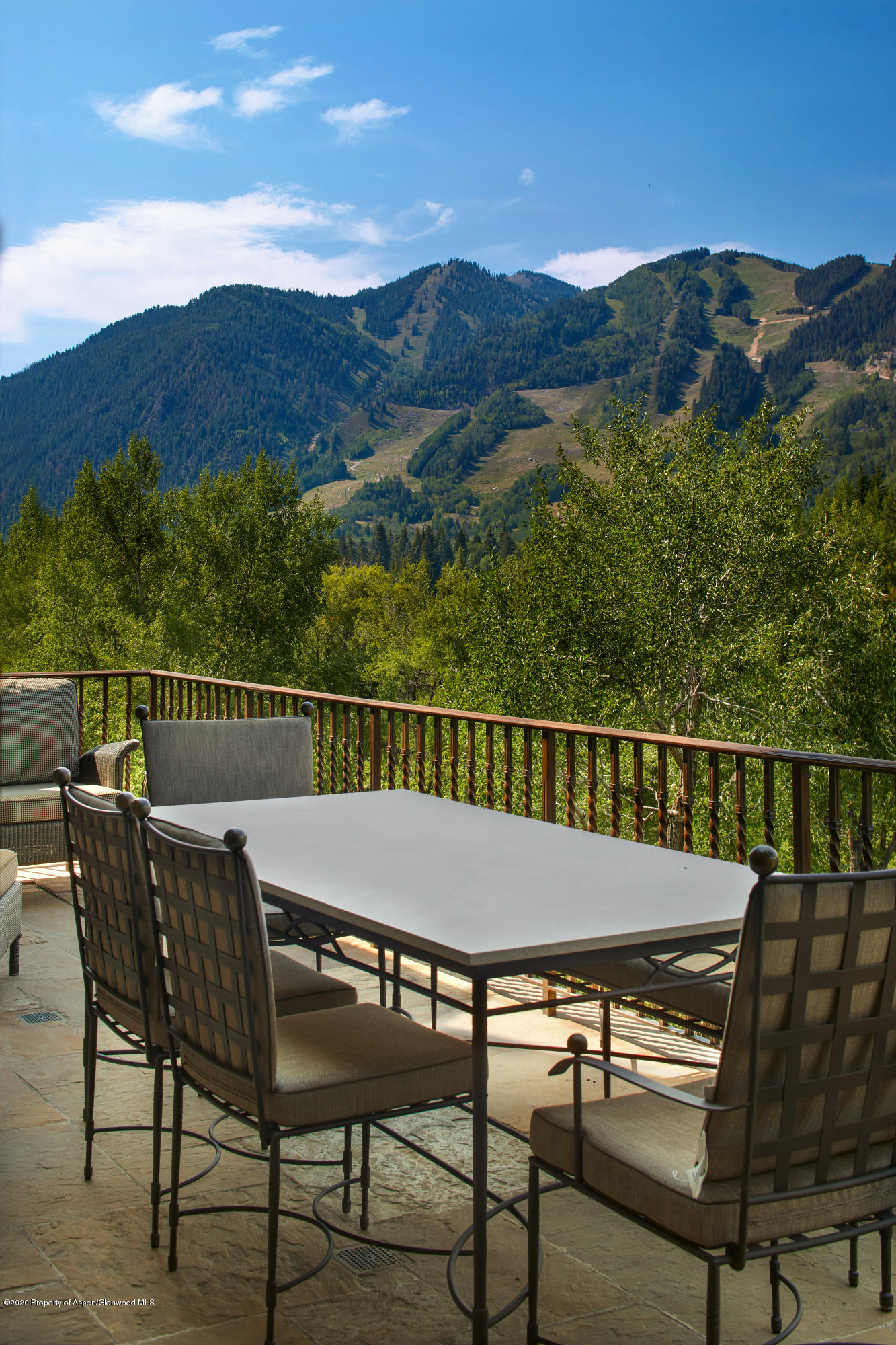 288 Willoughby Way Aspen CO 81611