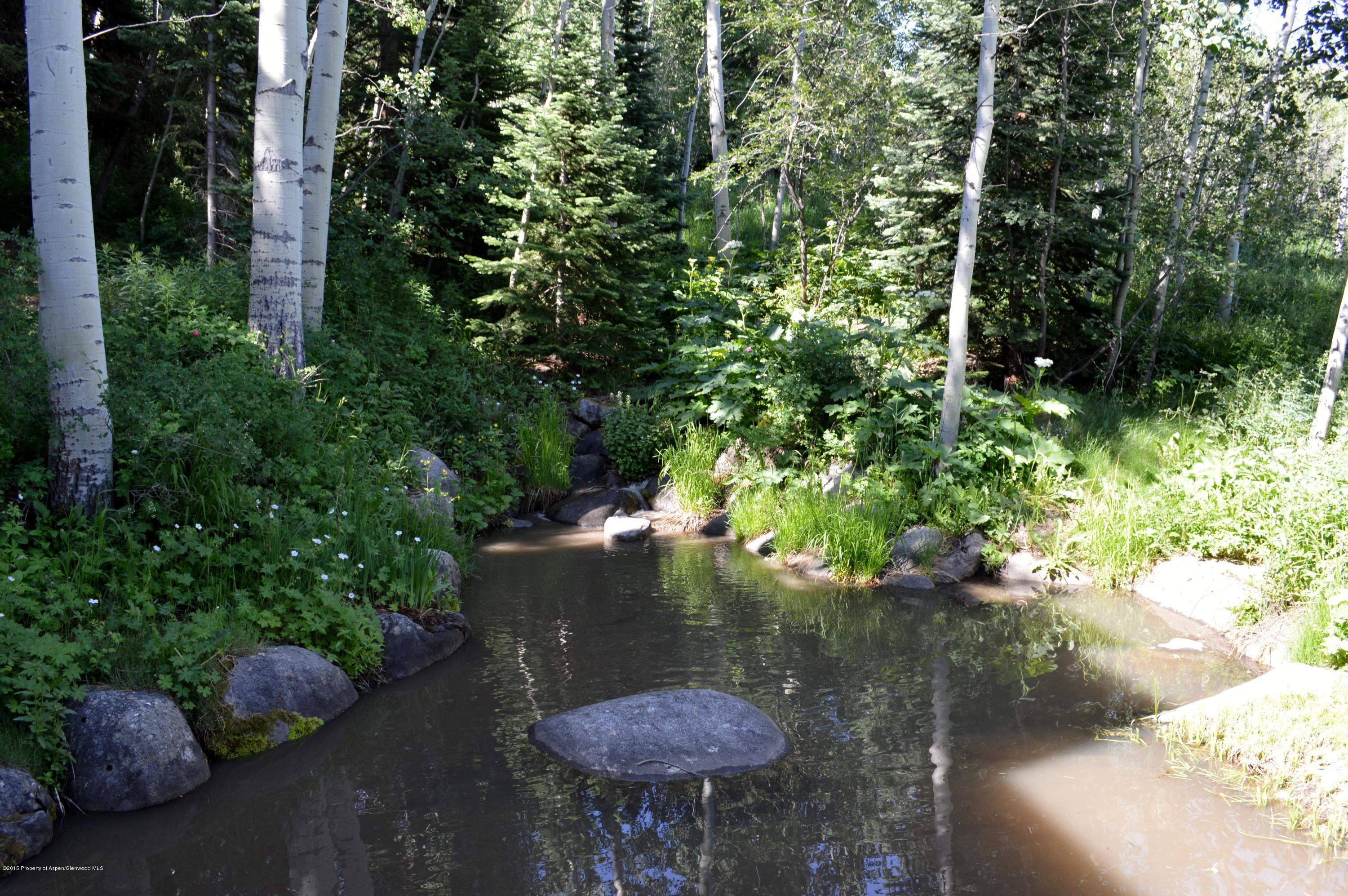 20 Alpine Lane Snowmass Village CO 81615
