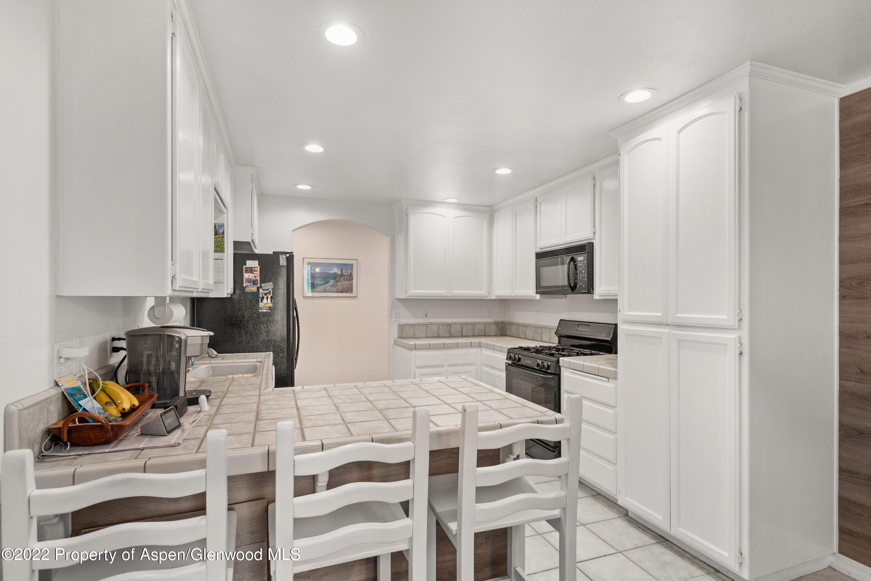 509 Black Bear Trail Carbondale CO 81623