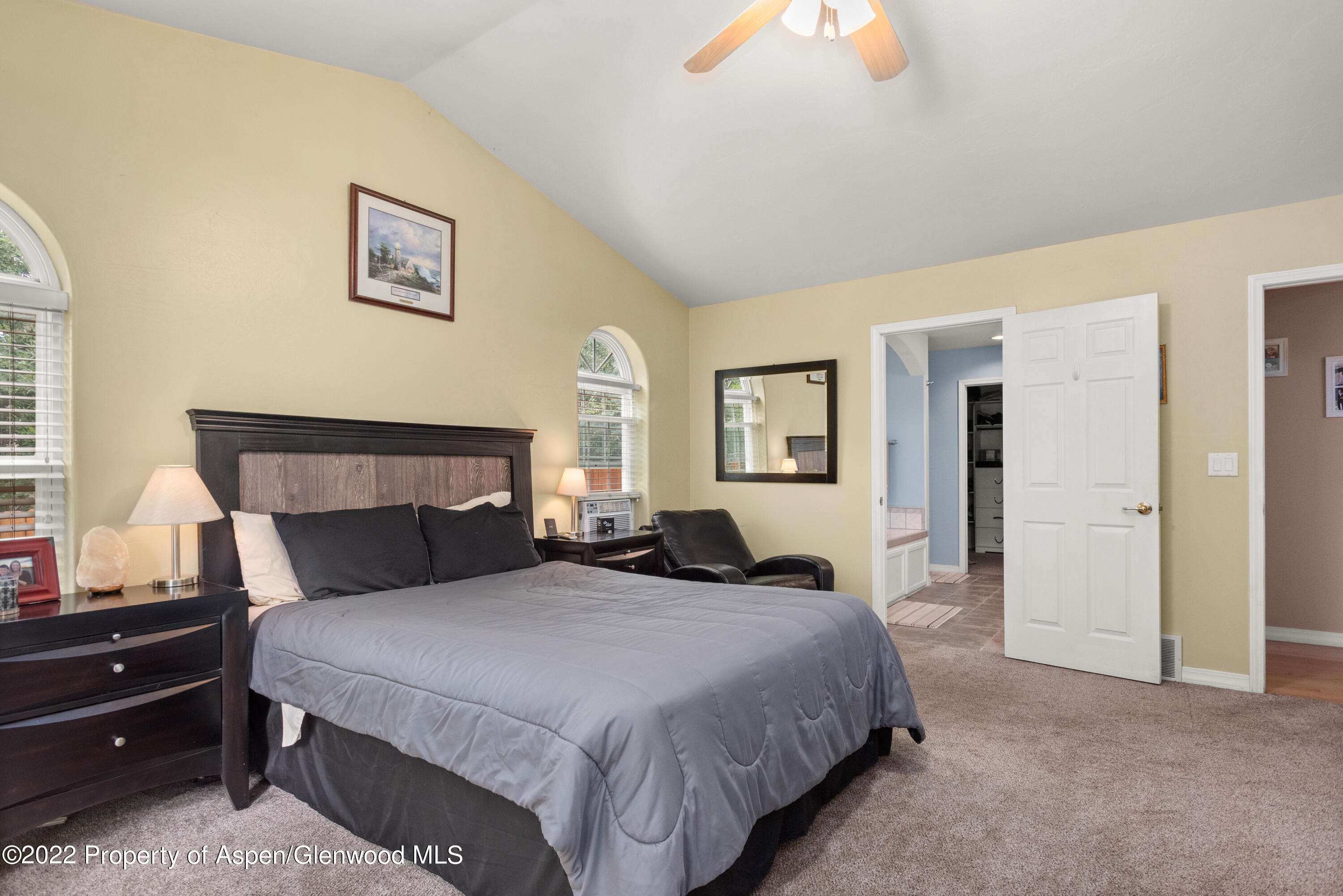 509 Black Bear Trail Carbondale CO 81623