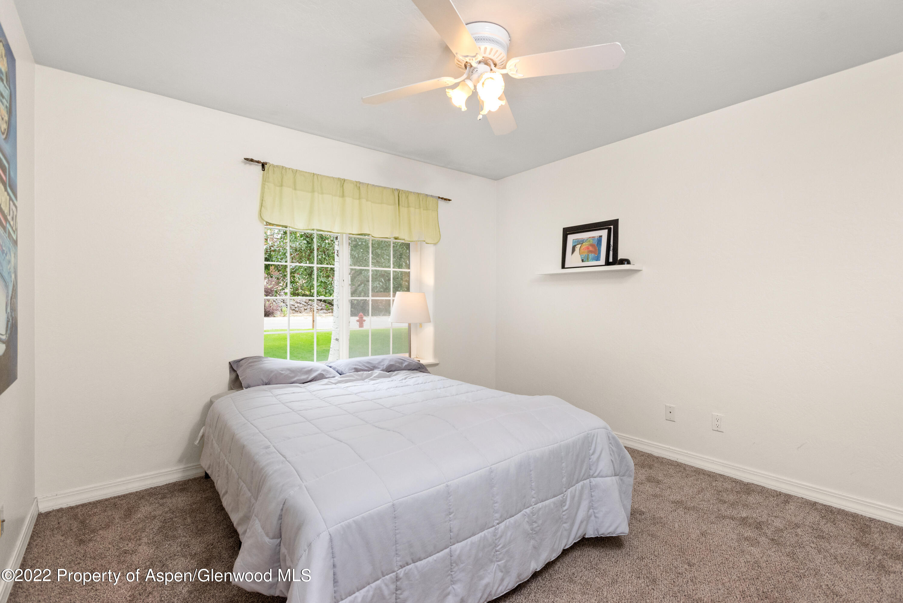 509 Black Bear Trail Carbondale CO 81623