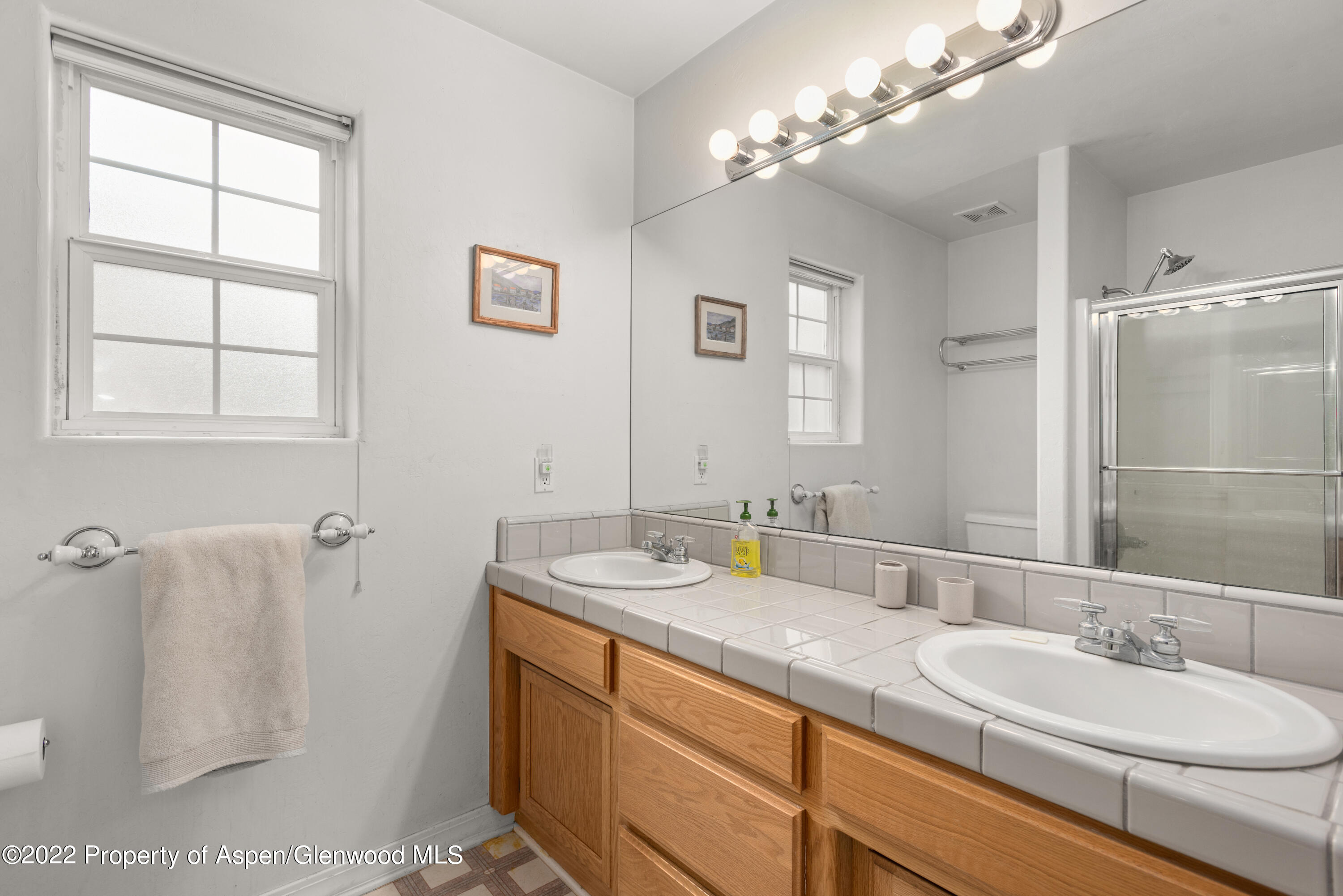 509 Black Bear Trail Carbondale CO 81623