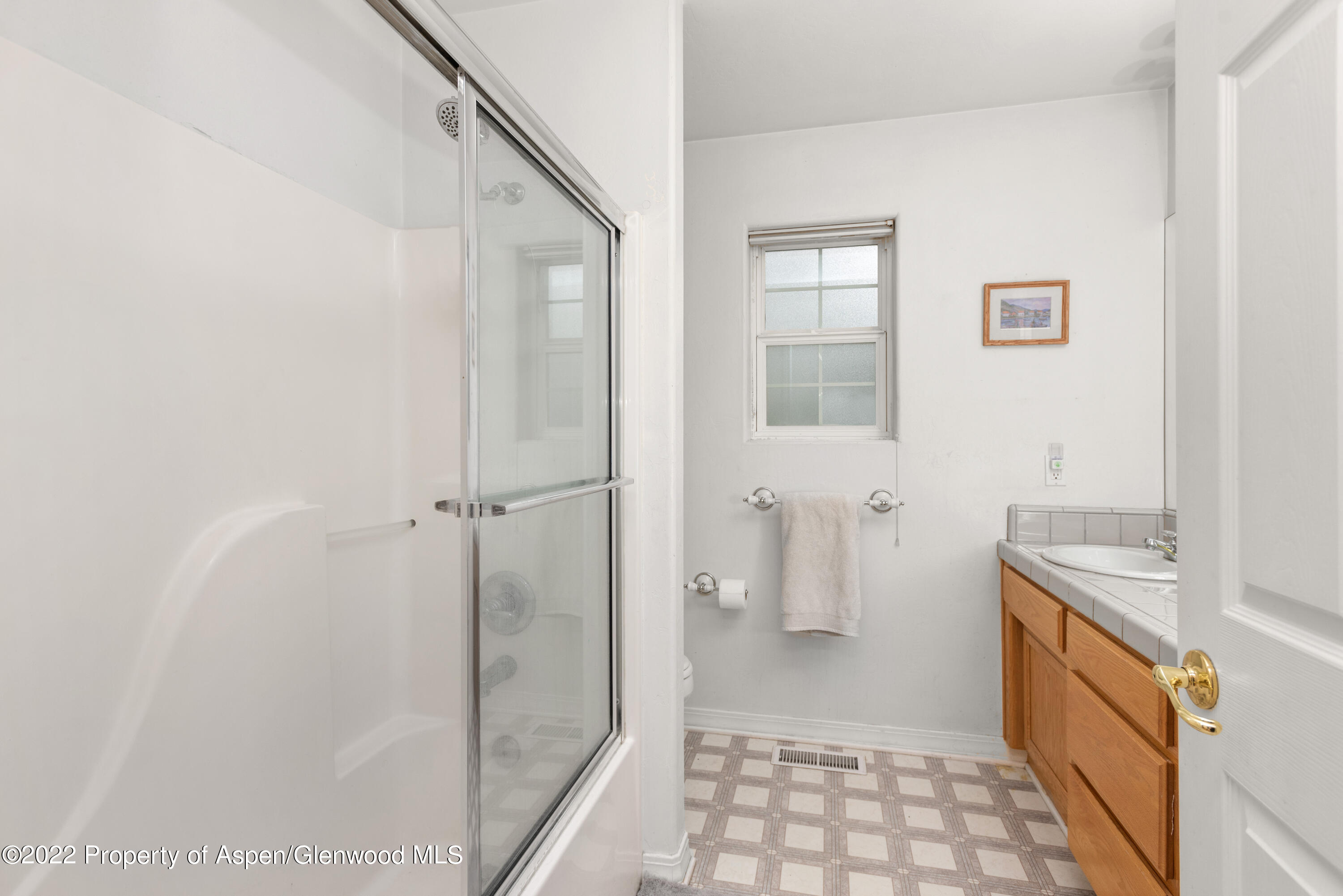509 Black Bear Trail Carbondale CO 81623