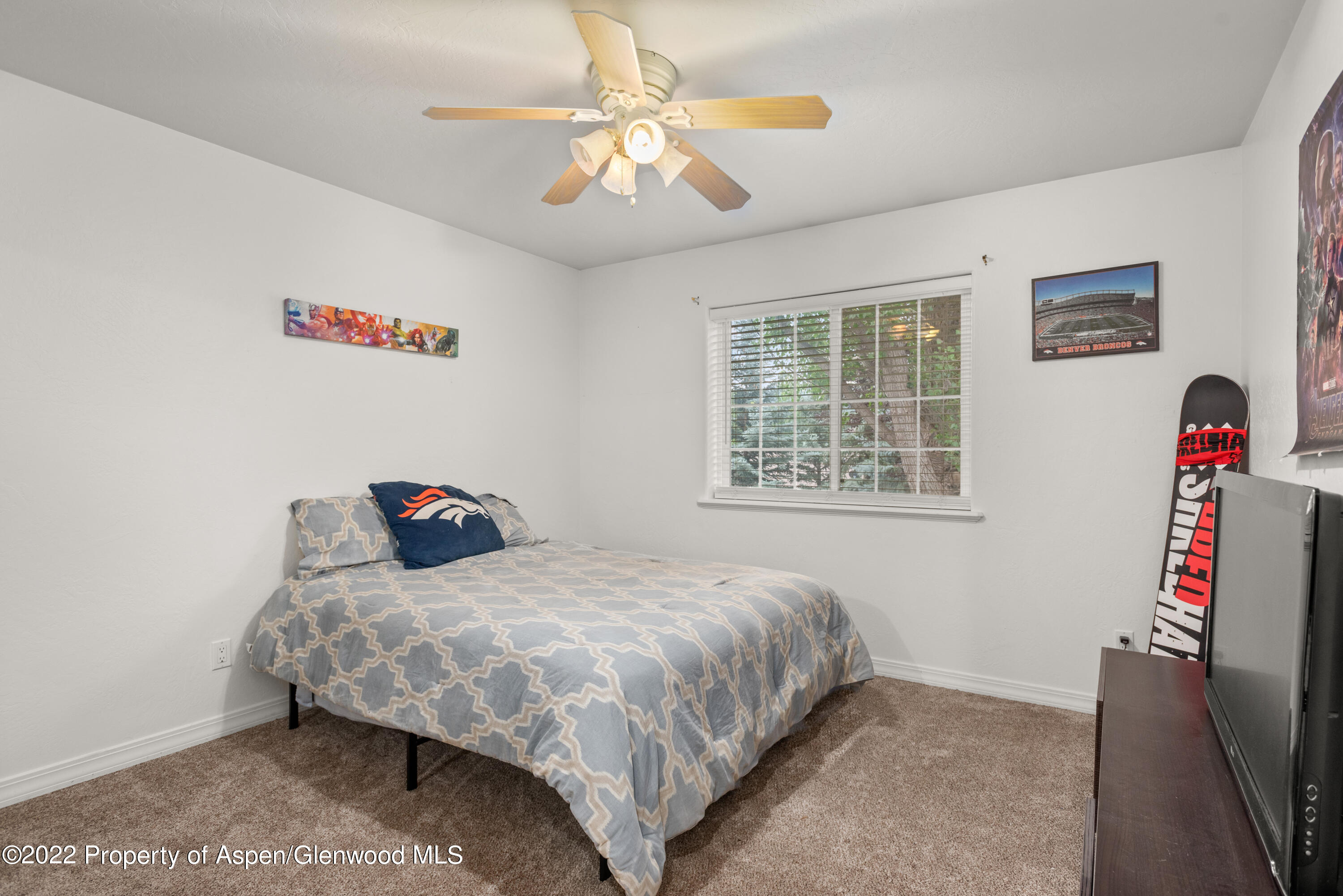 509 Black Bear Trail Carbondale CO 81623