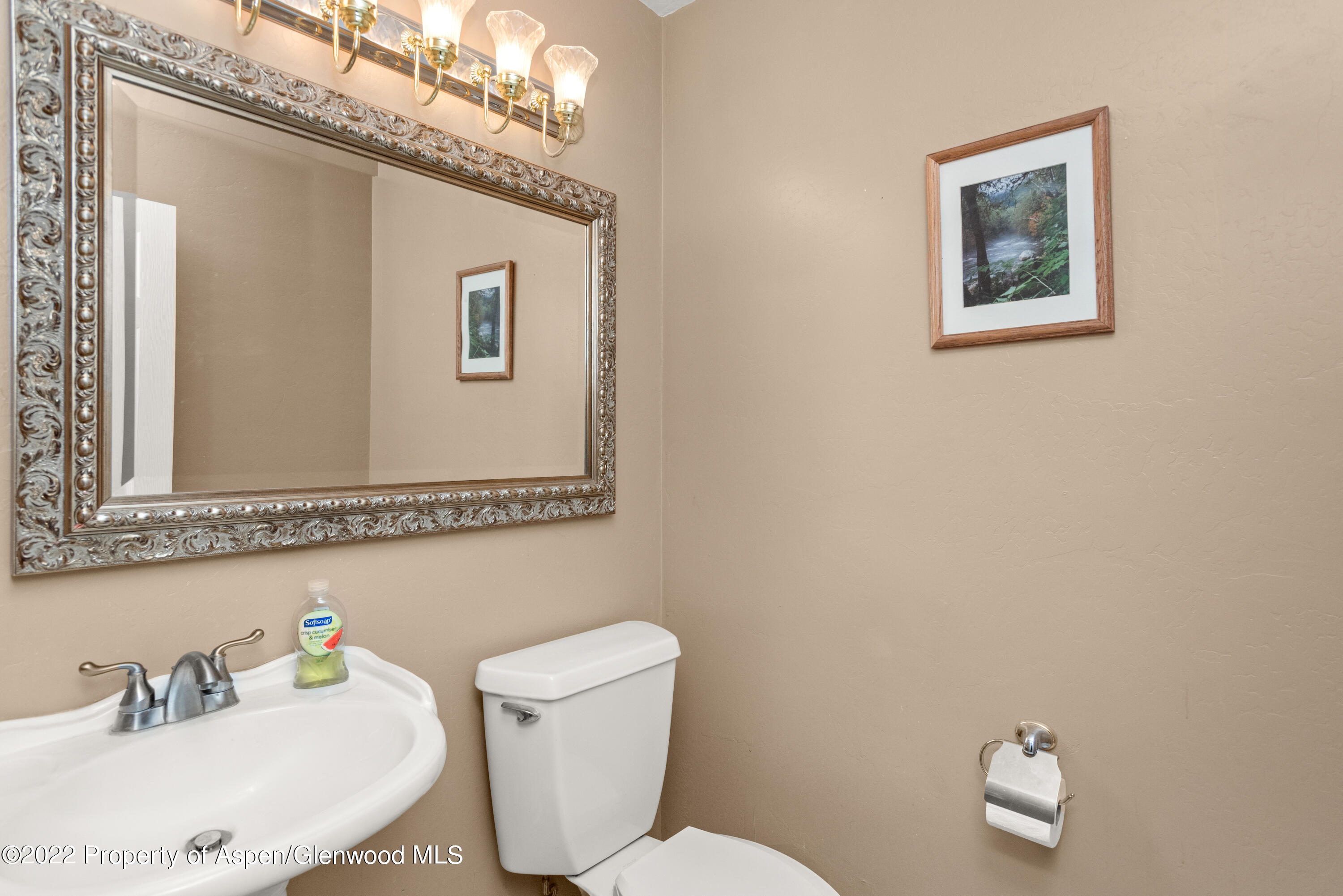 509 Black Bear Trail Carbondale CO 81623