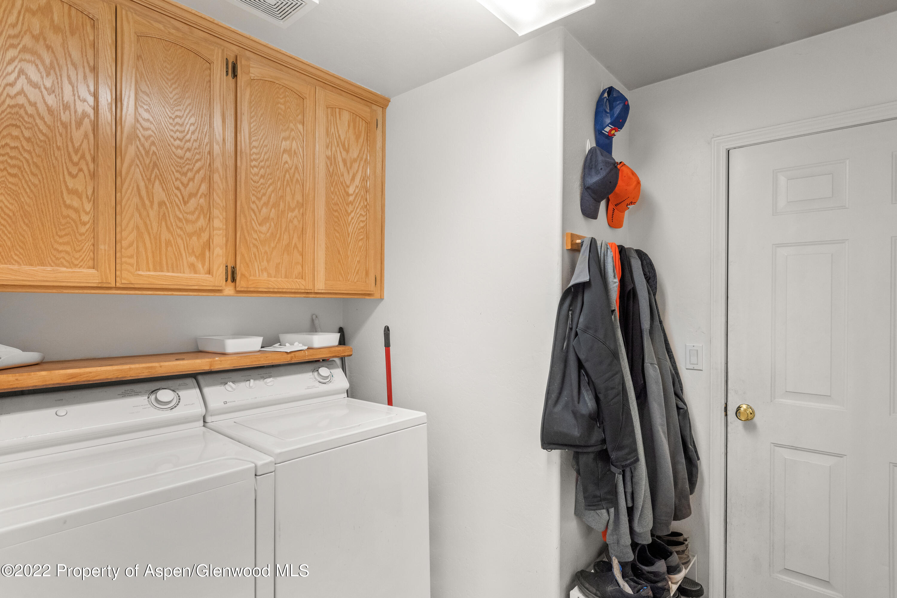 509 Black Bear Trail Carbondale CO 81623