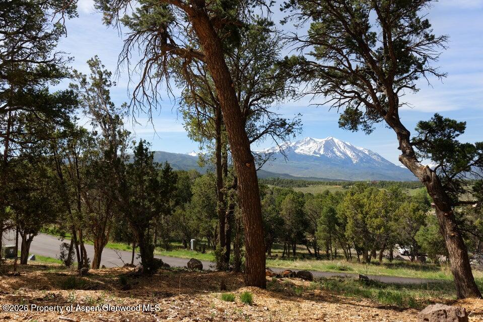 Tbd Sopris Lane Carbondale CO 81623