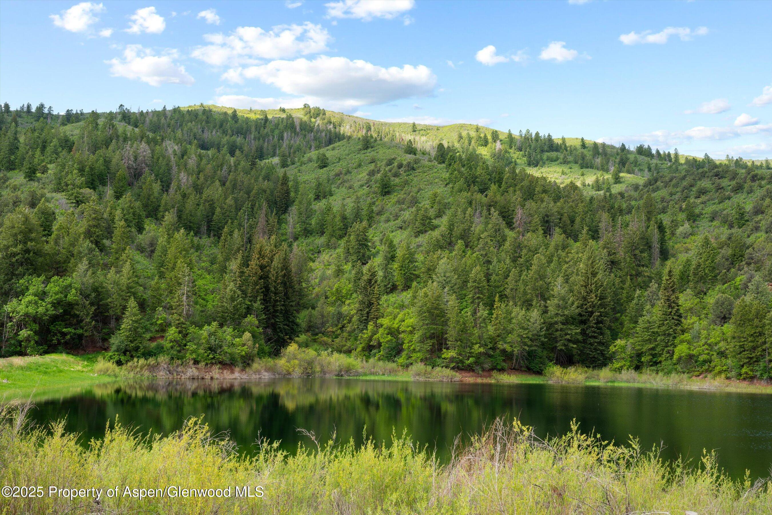 10715 County Road 245 New Castle CO 81647