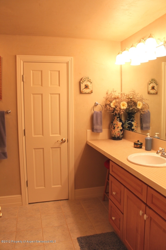 556 Black Bear Trail Carbondale CO 81623
