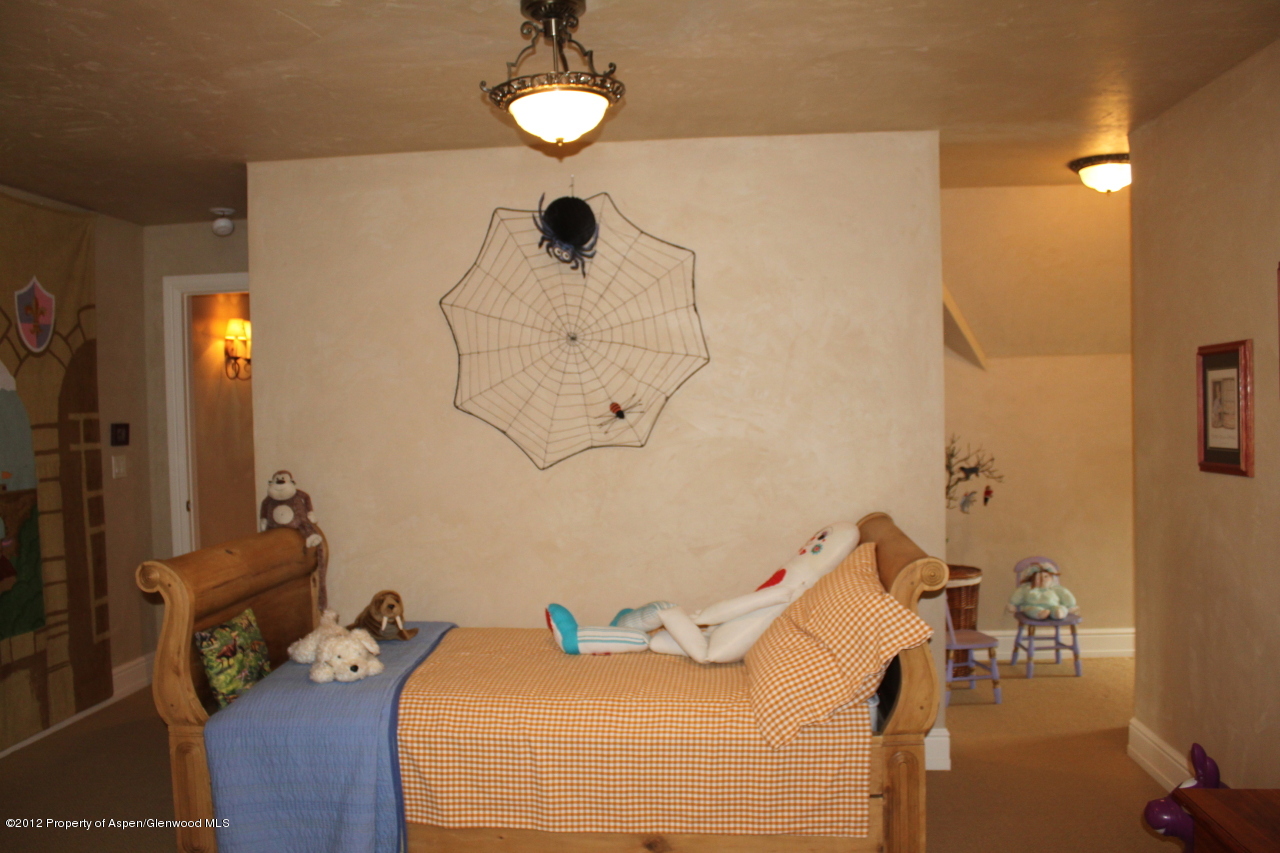 556 Black Bear Trail Carbondale CO 81623