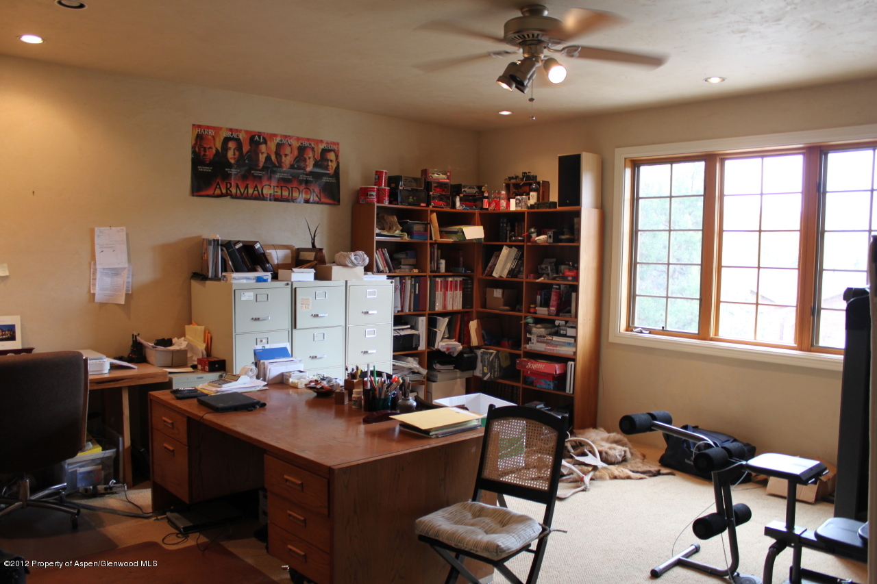 556 Black Bear Trail Carbondale CO 81623